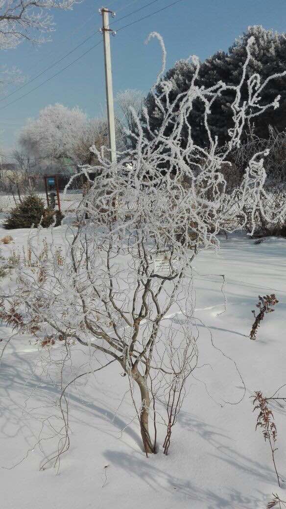 Первый слайд