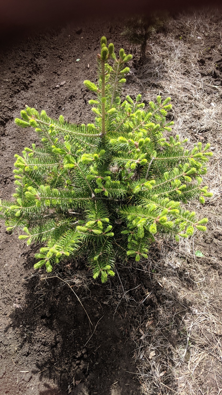 Первый слайд