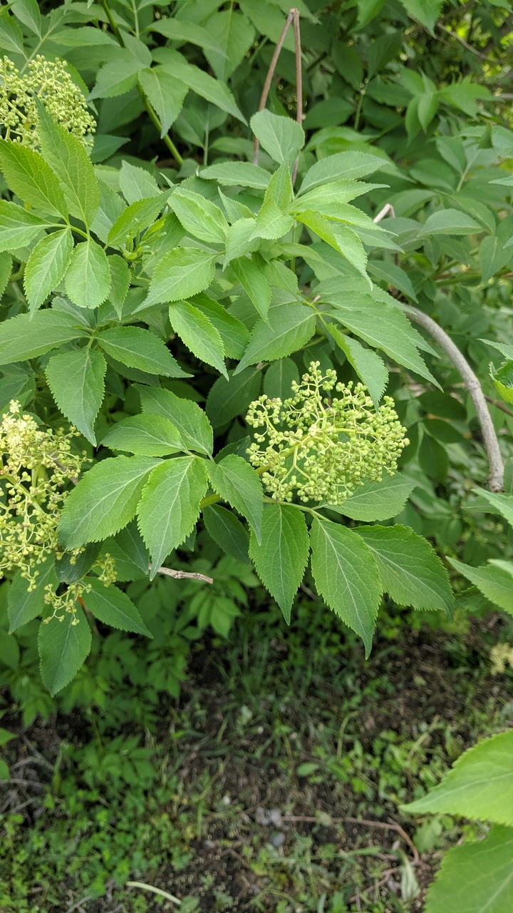 Первый слайд