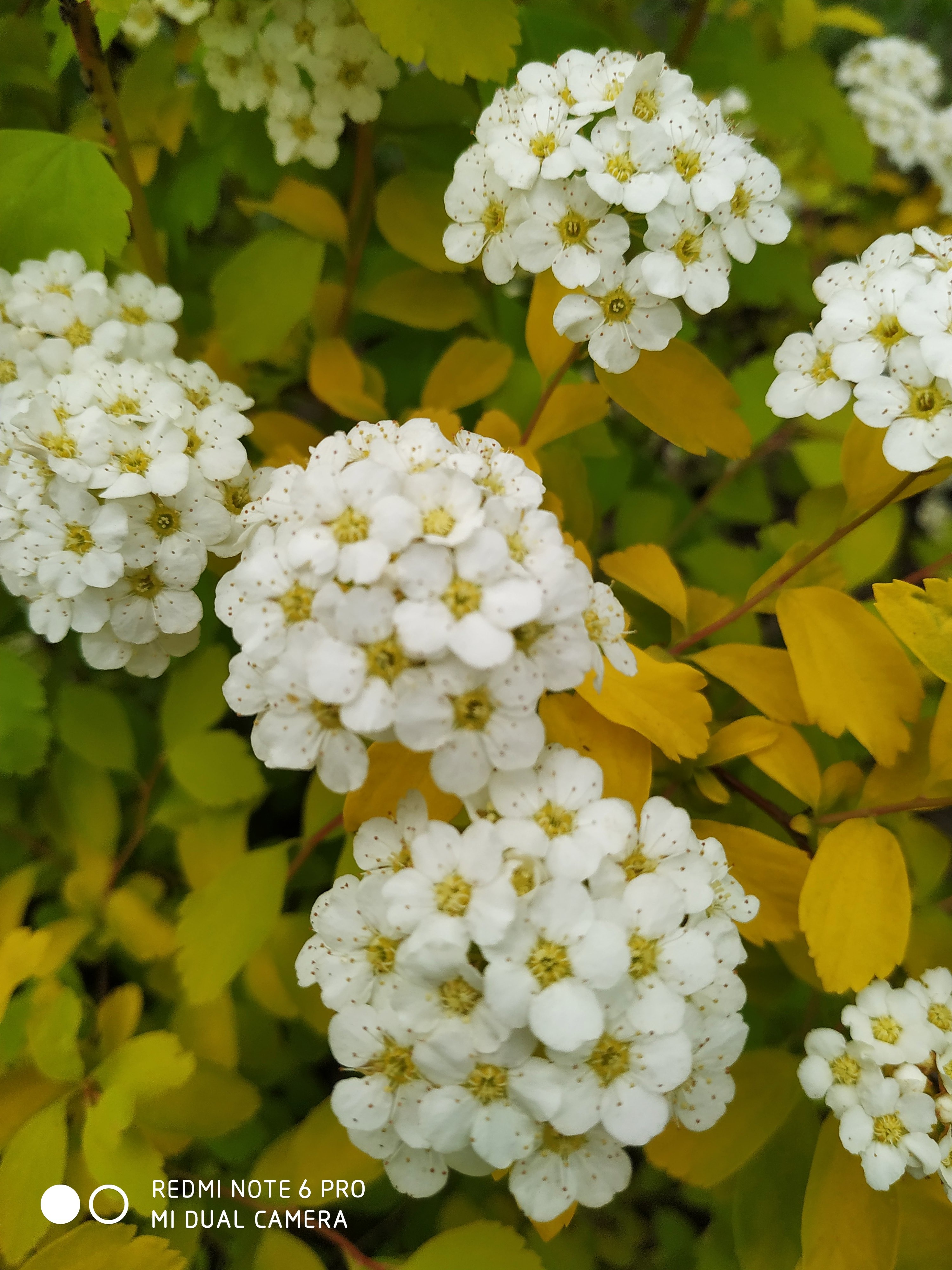 Первый слайд