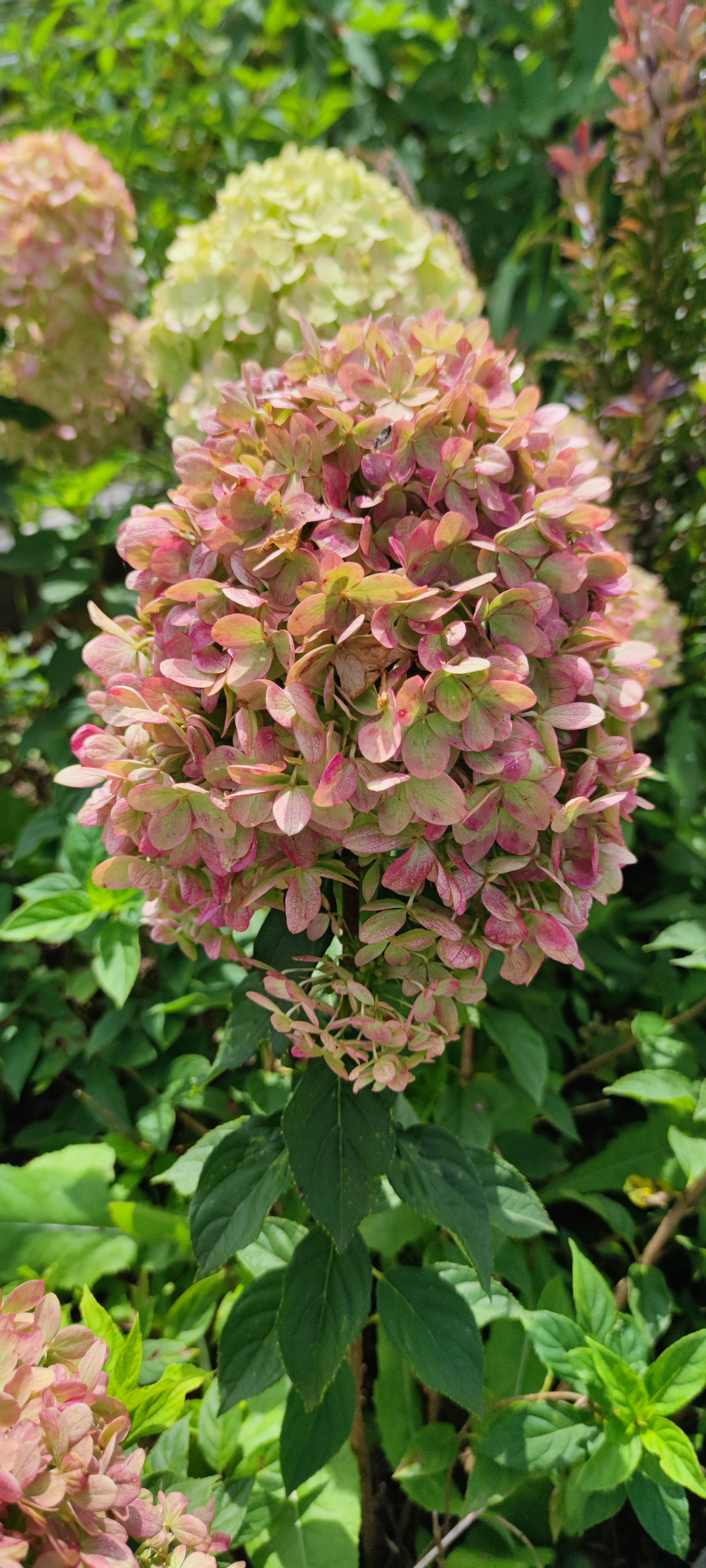 Первый слайд