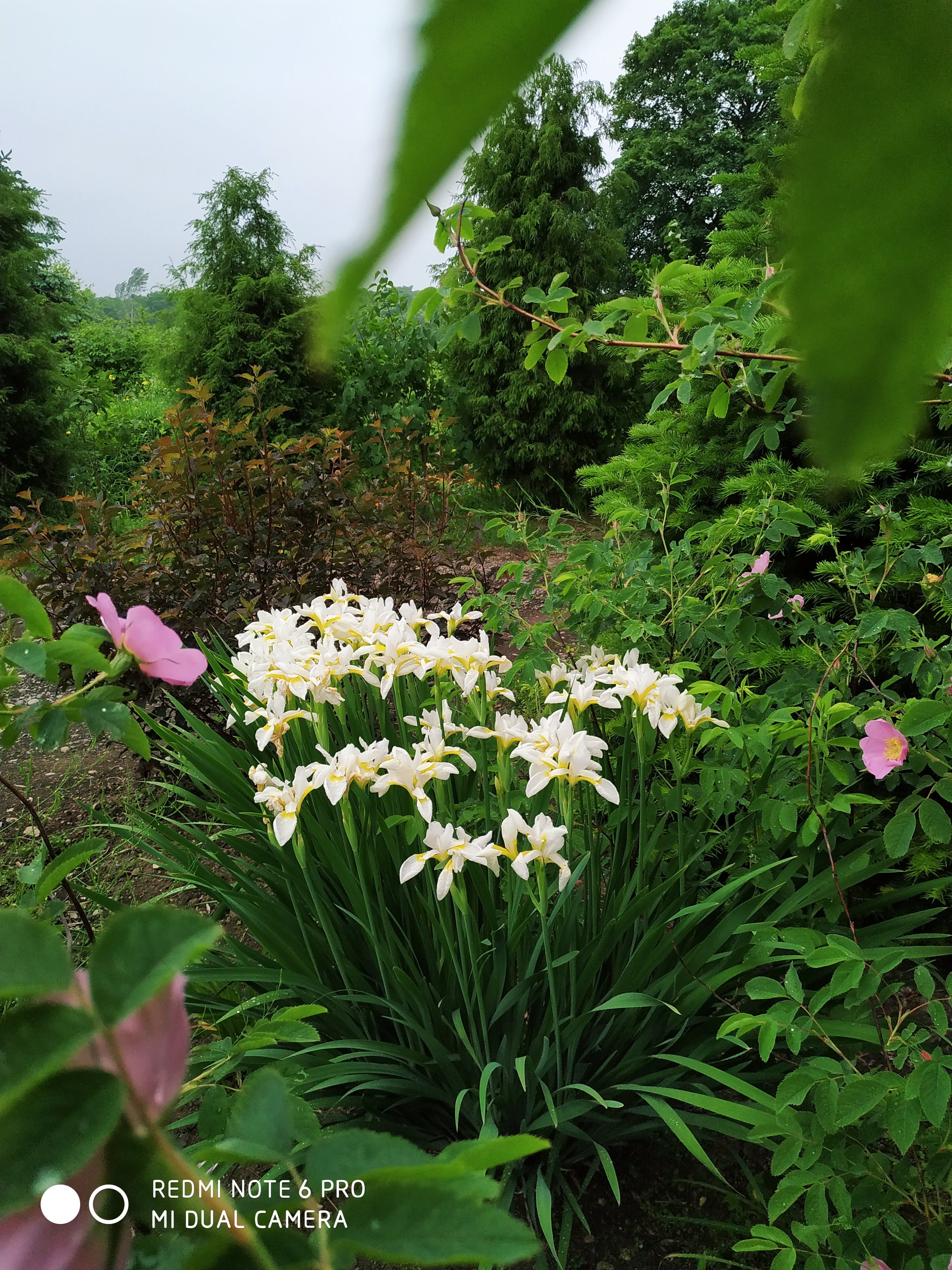 Первый слайд