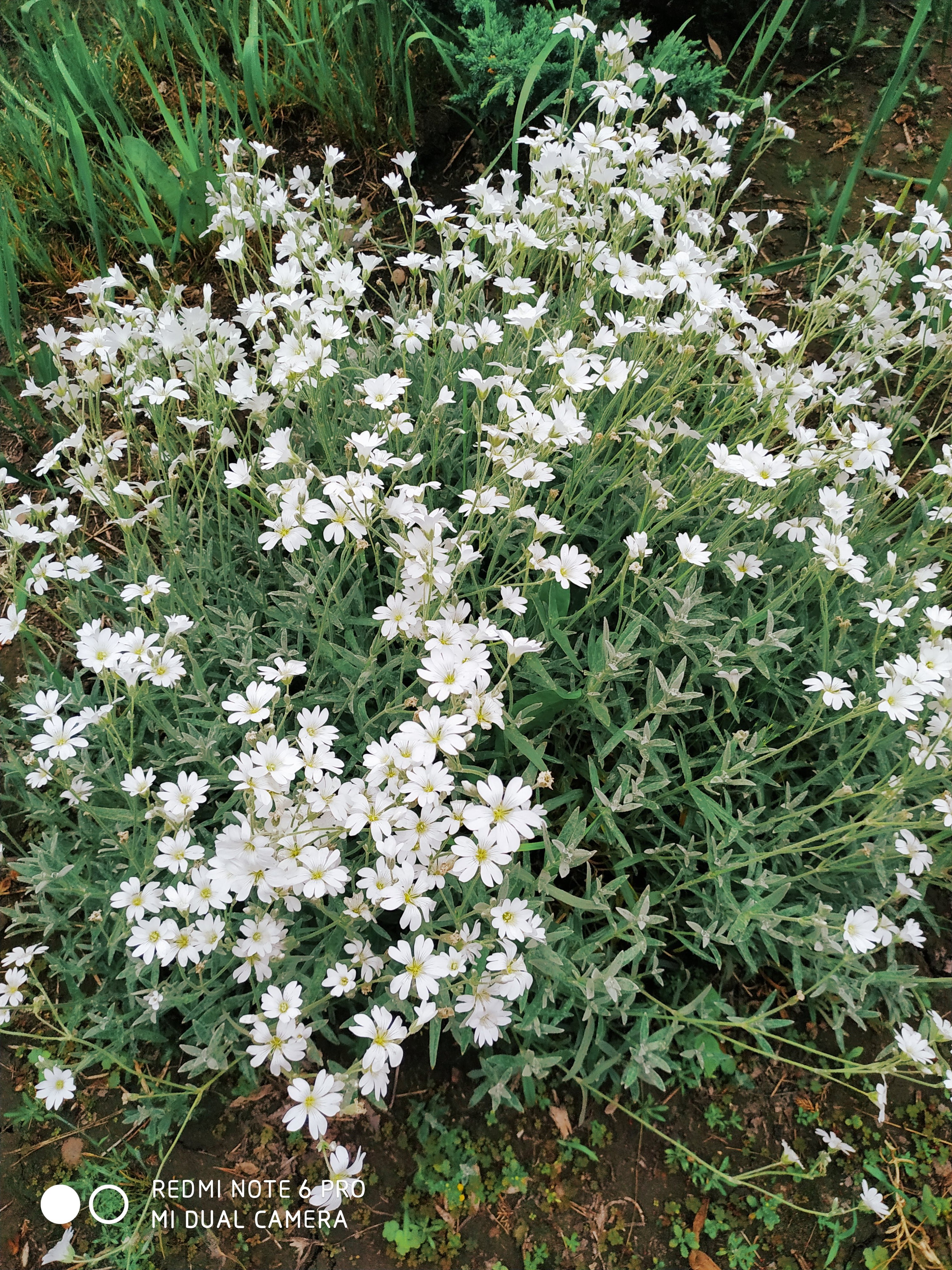 Первый слайд