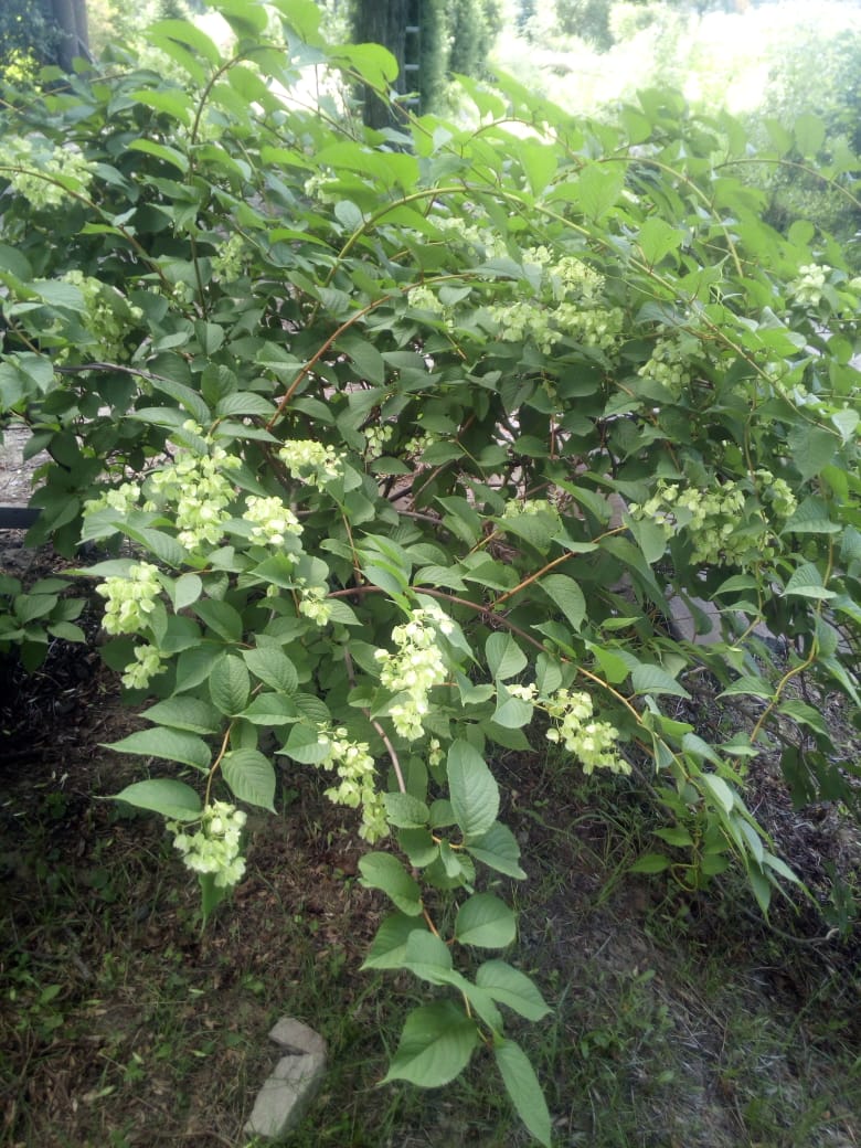 Первый слайд