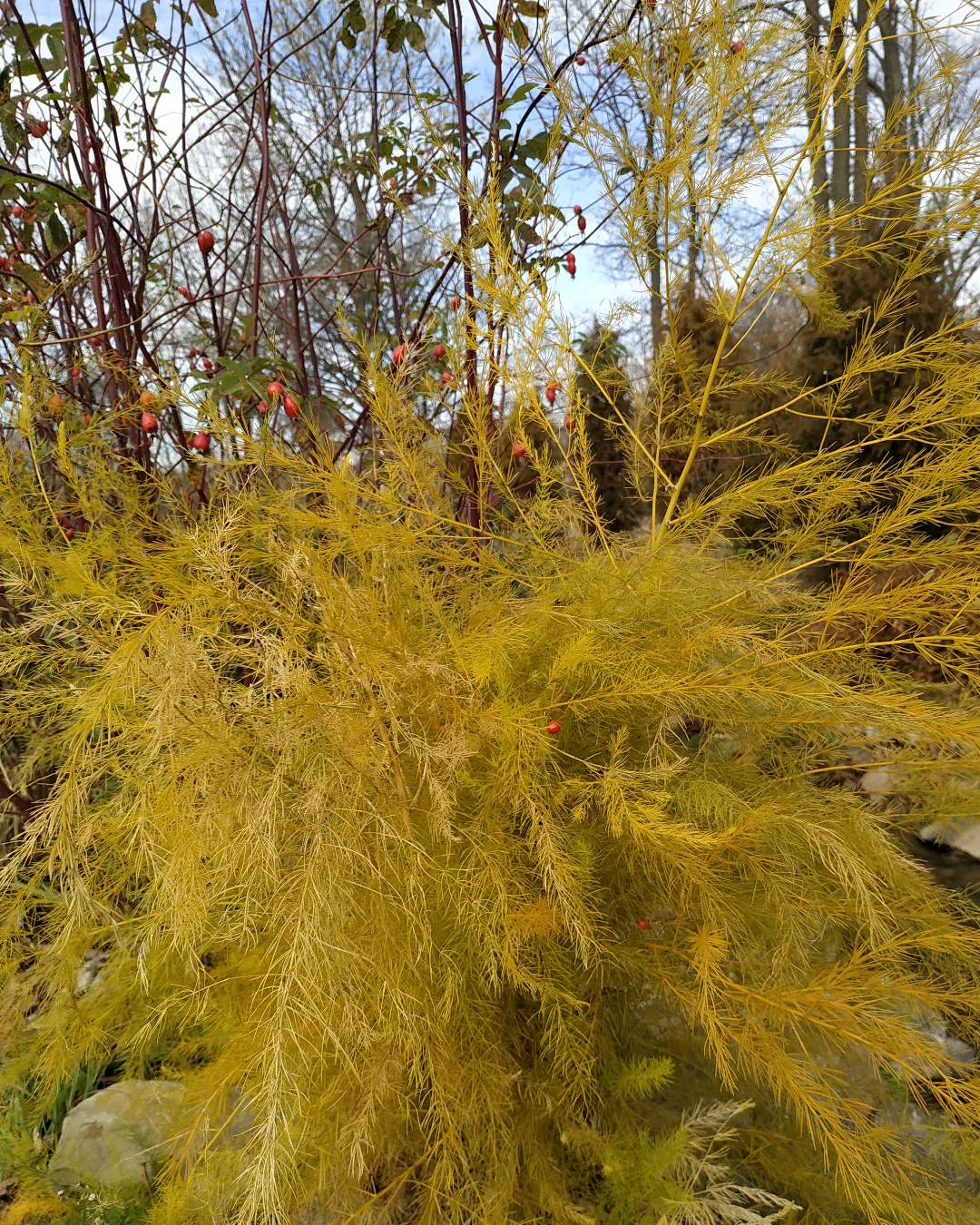 Первый слайд