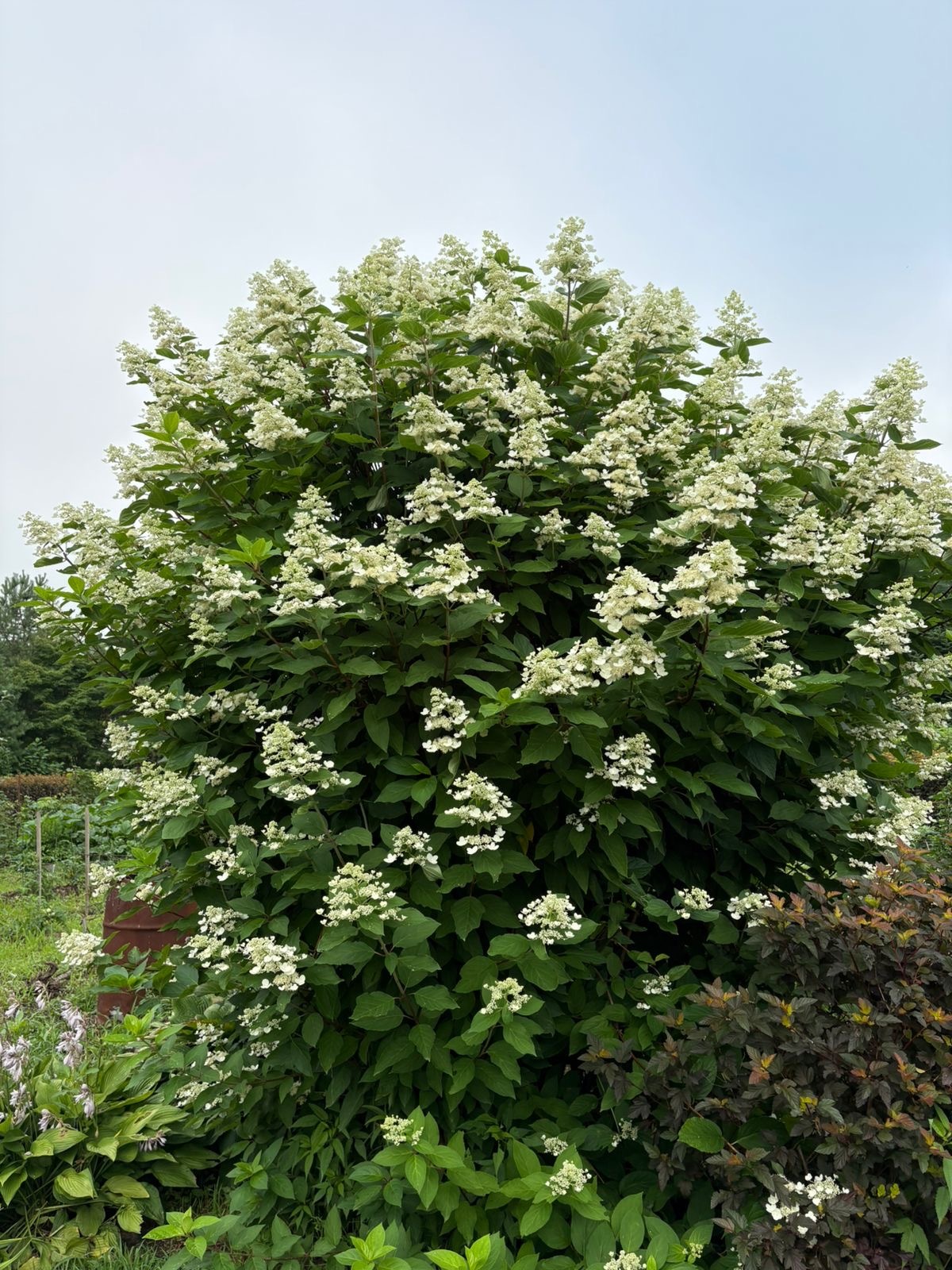 Первый слайд