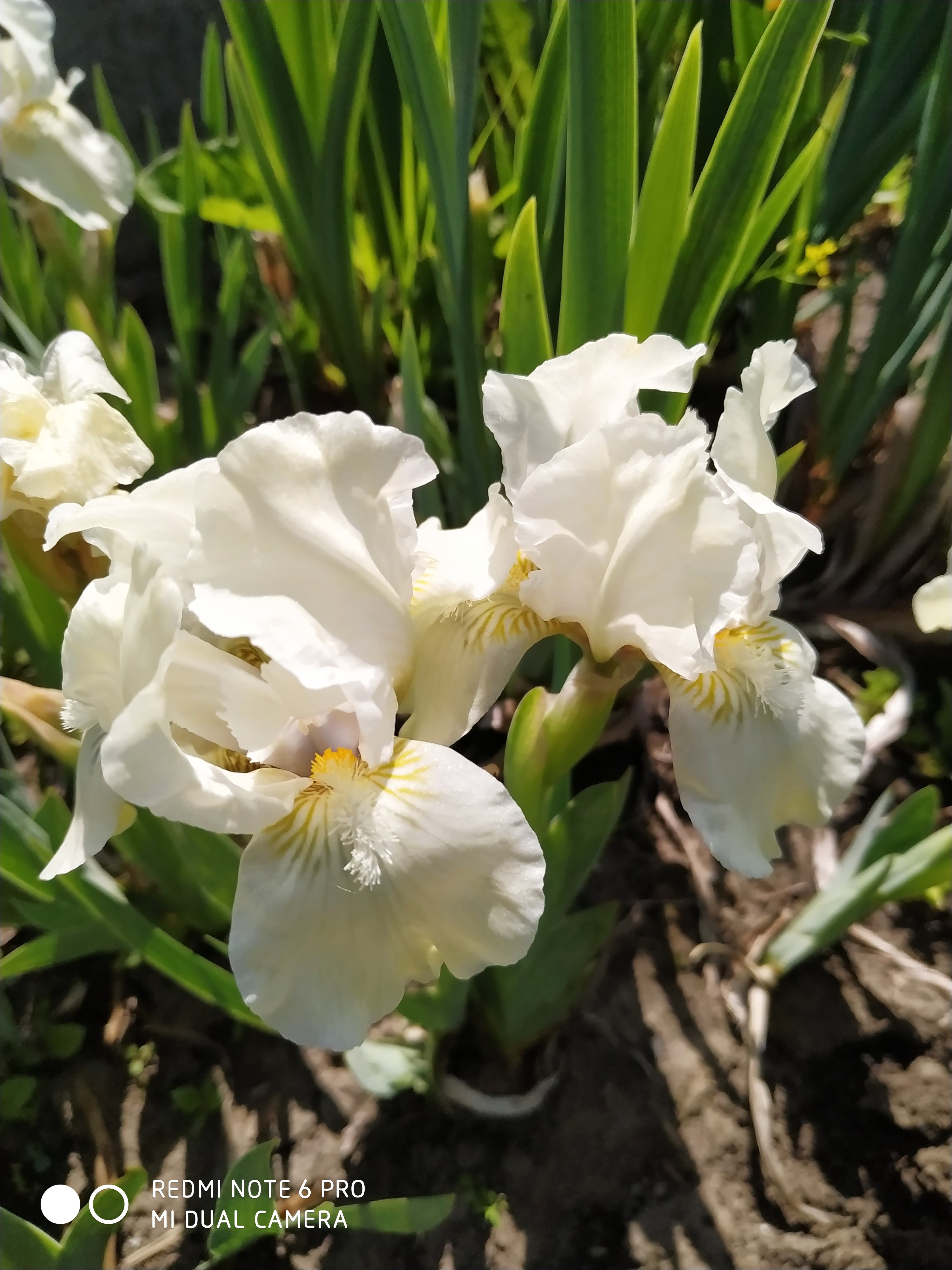 Первый слайд