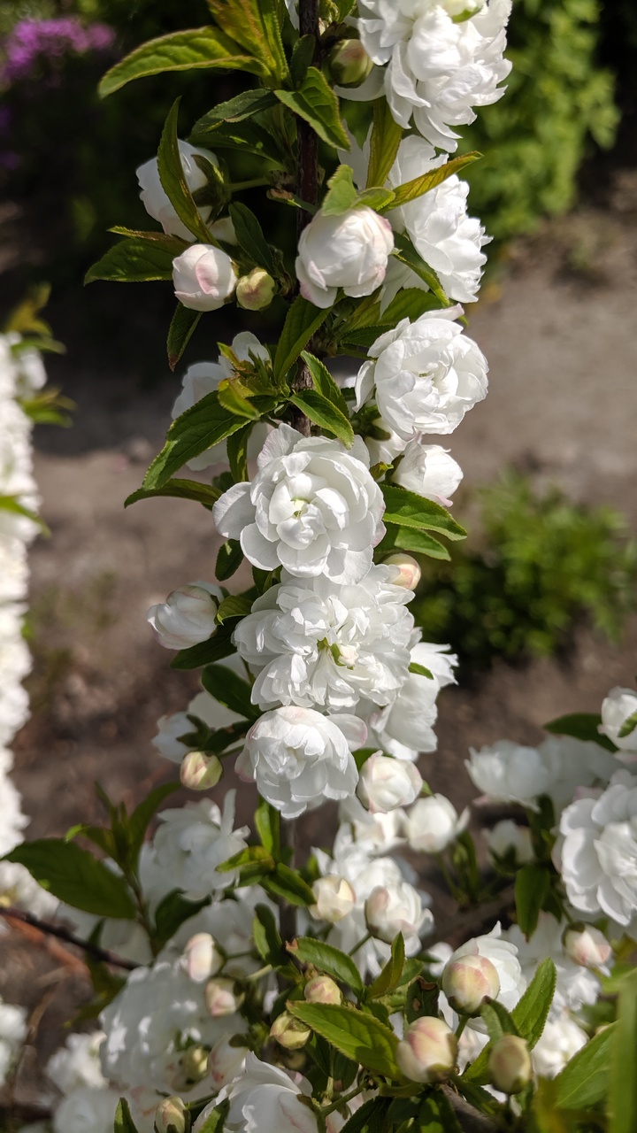 Первый слайд