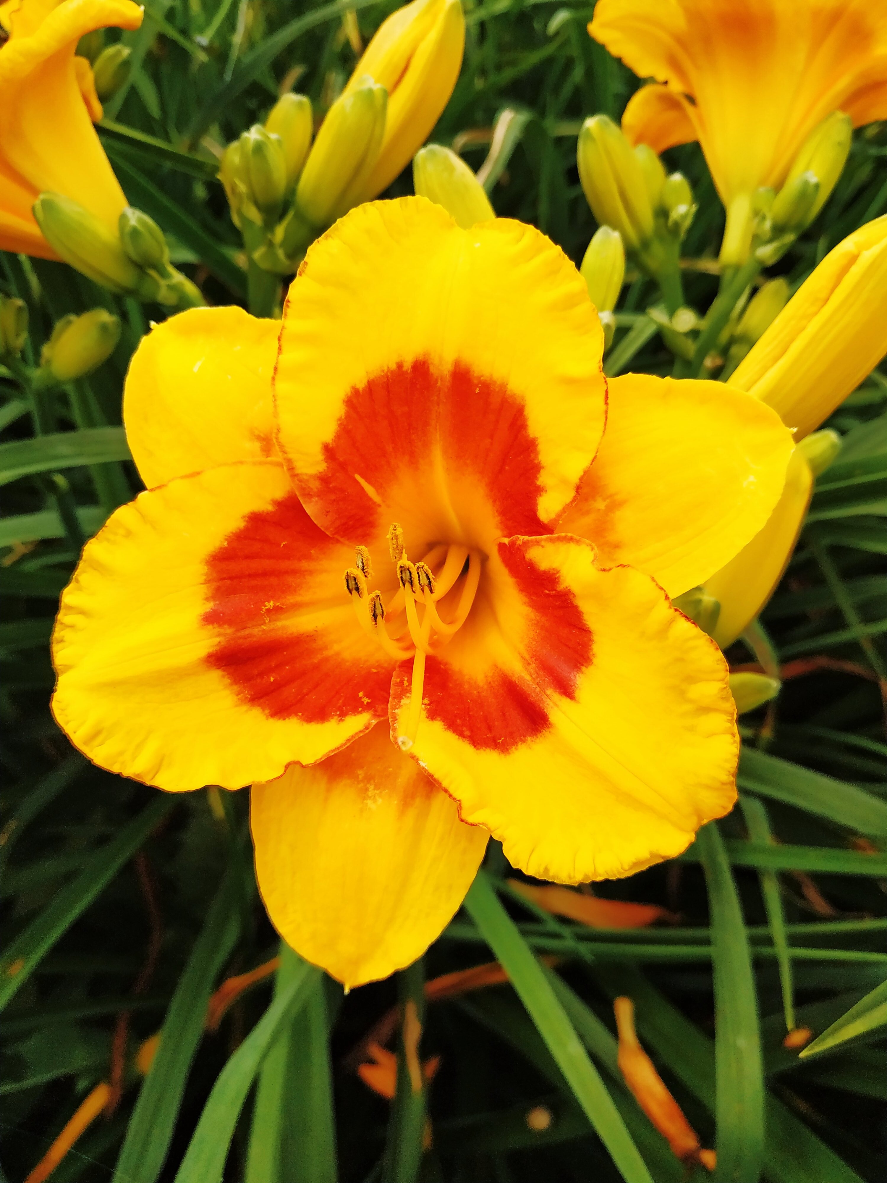 Первый слайд