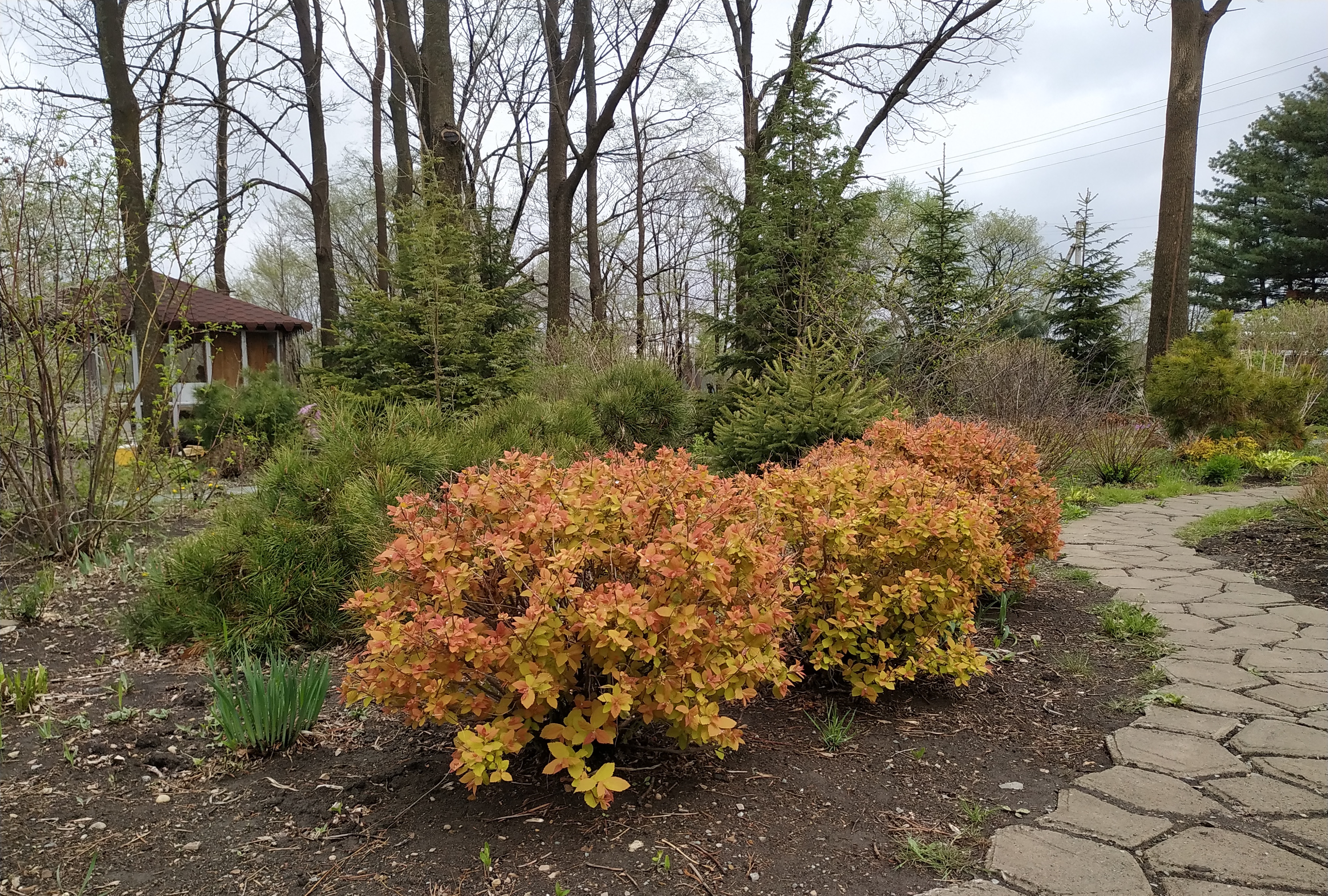 Первый слайд