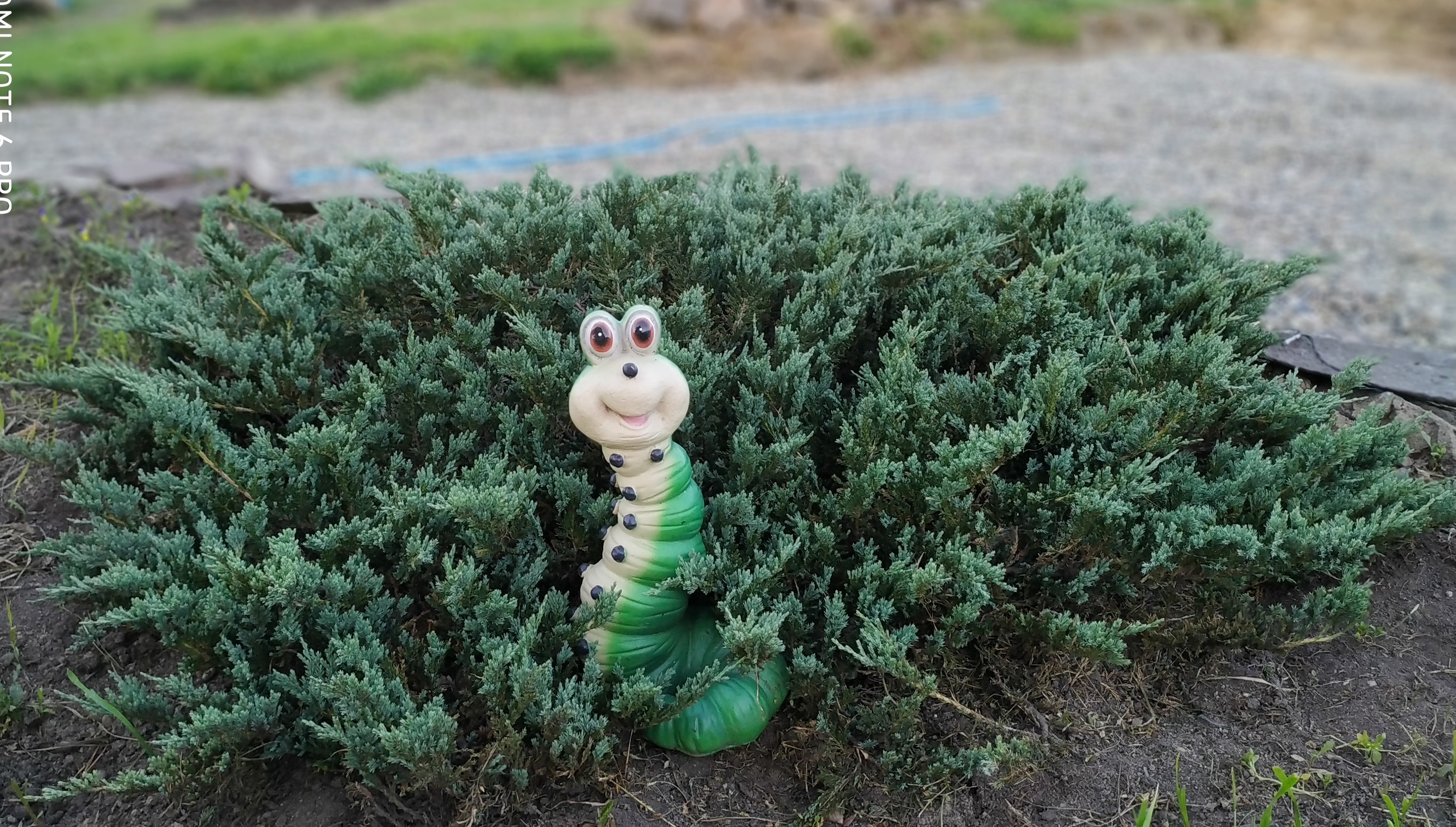 Первый слайд