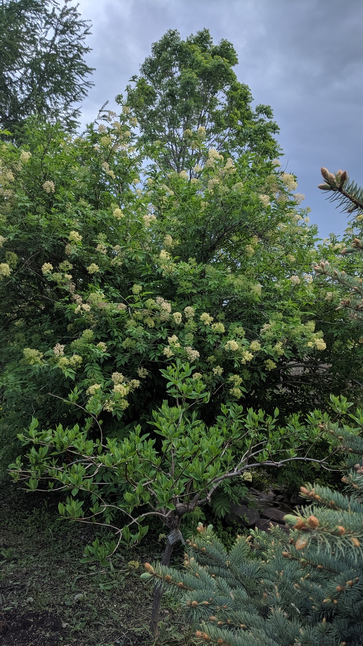 Первый слайд