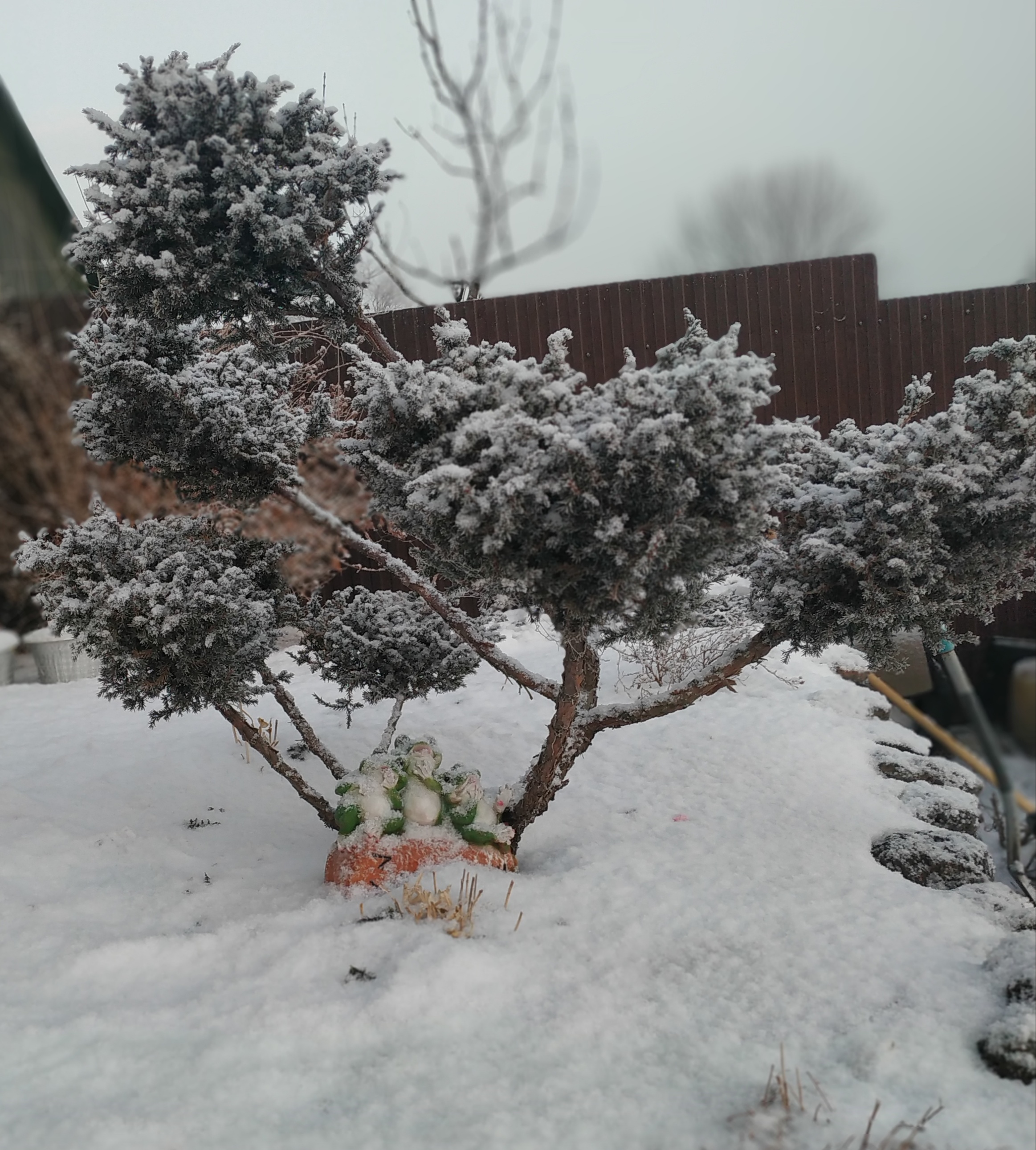 Первый слайд