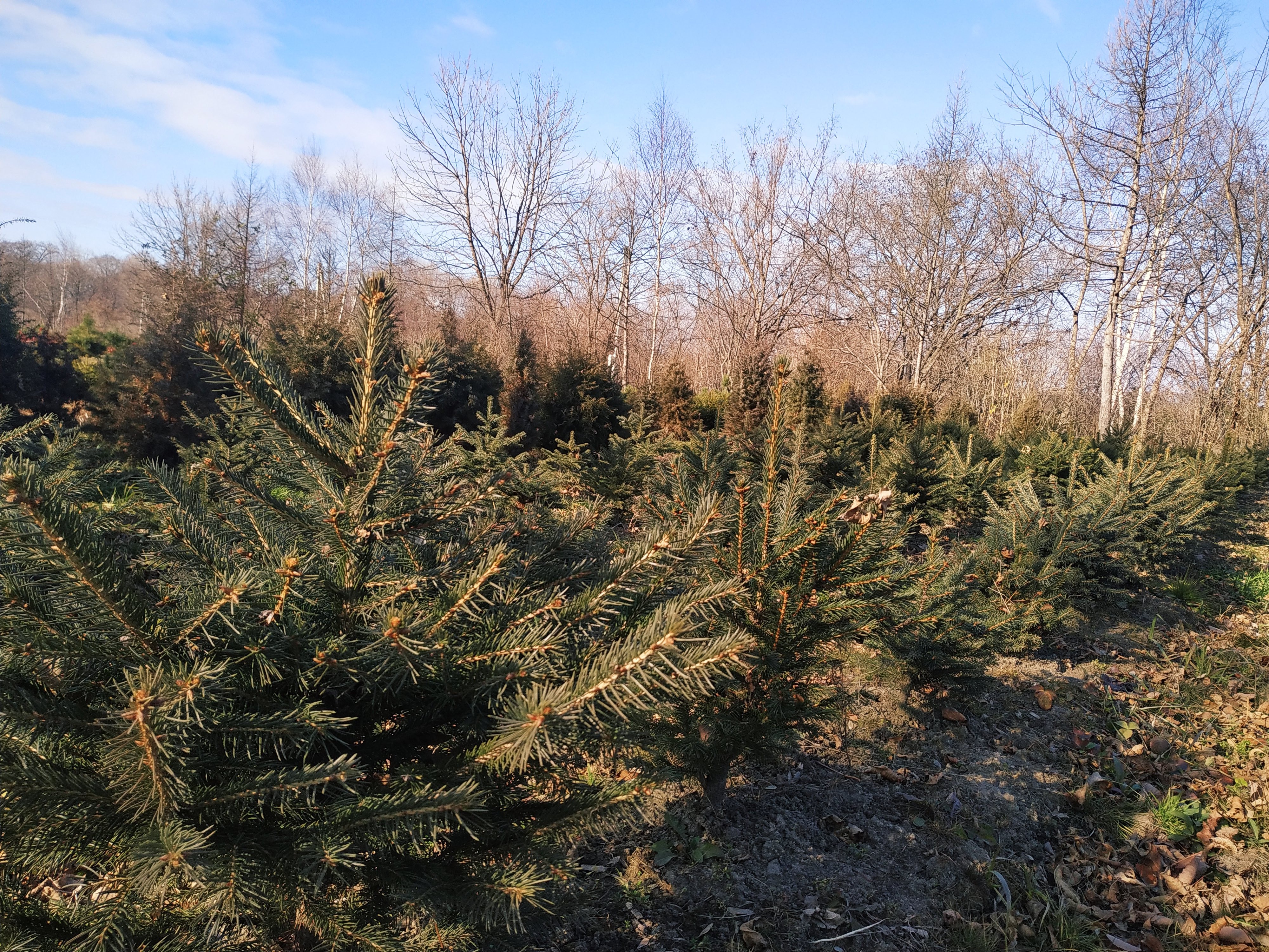 Первый слайд