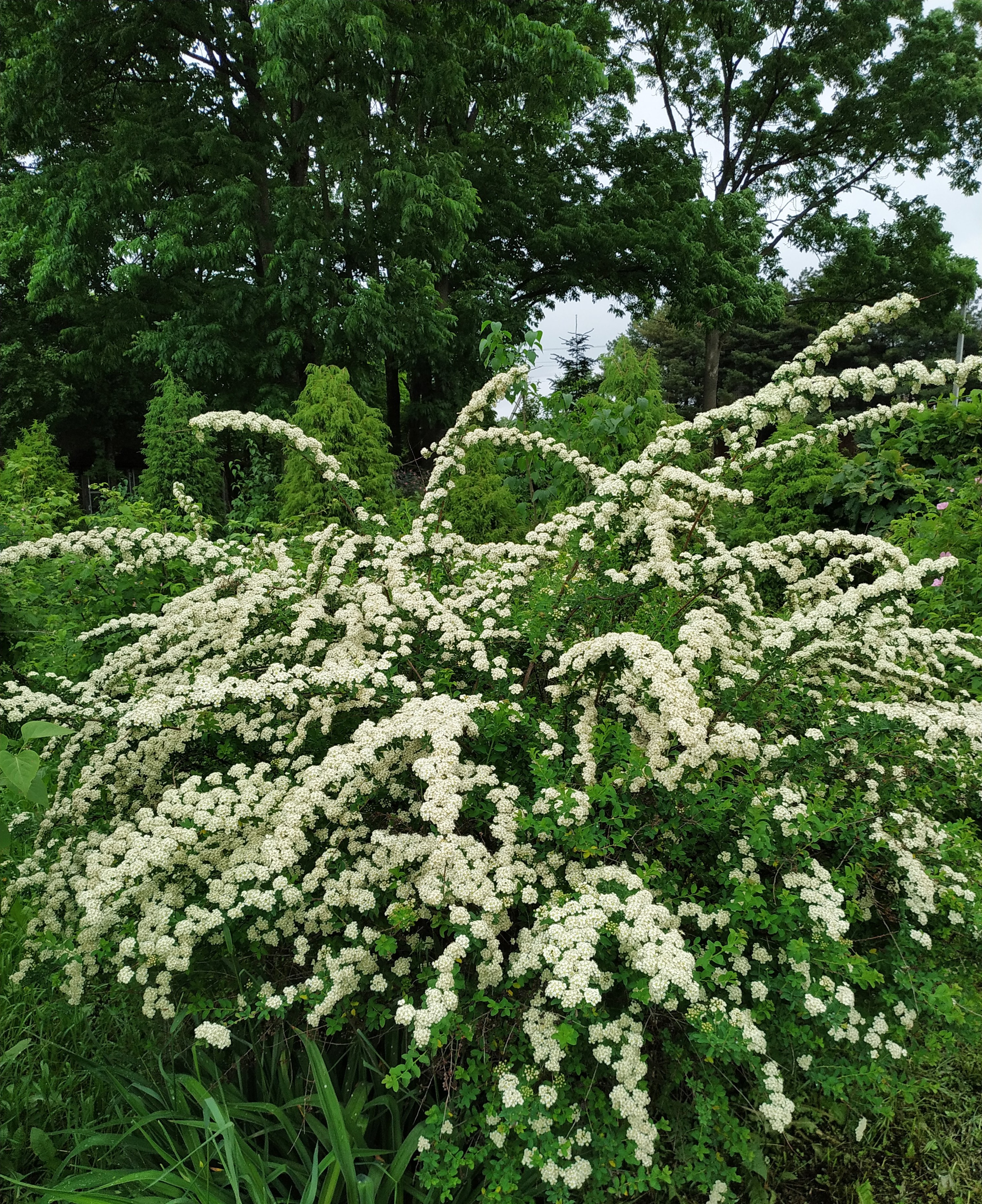 Первый слайд
