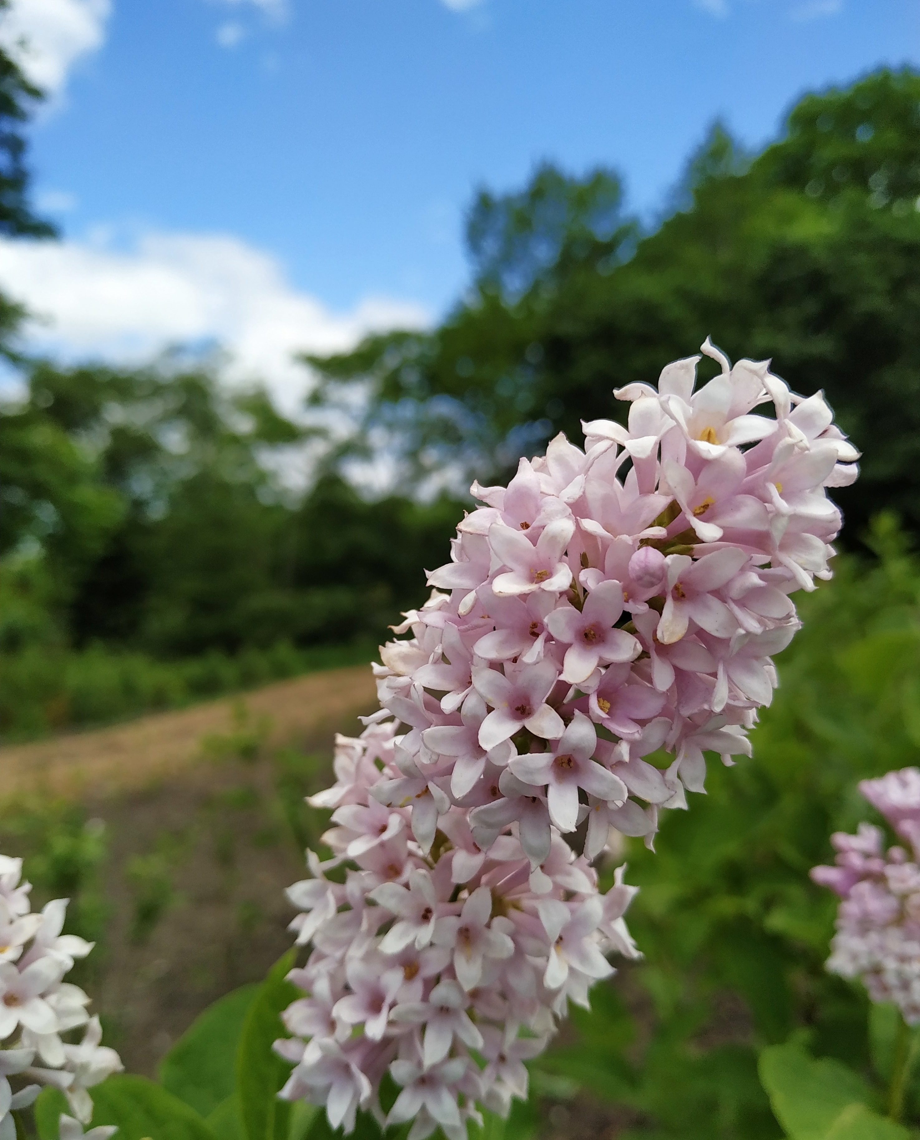 Первый слайд