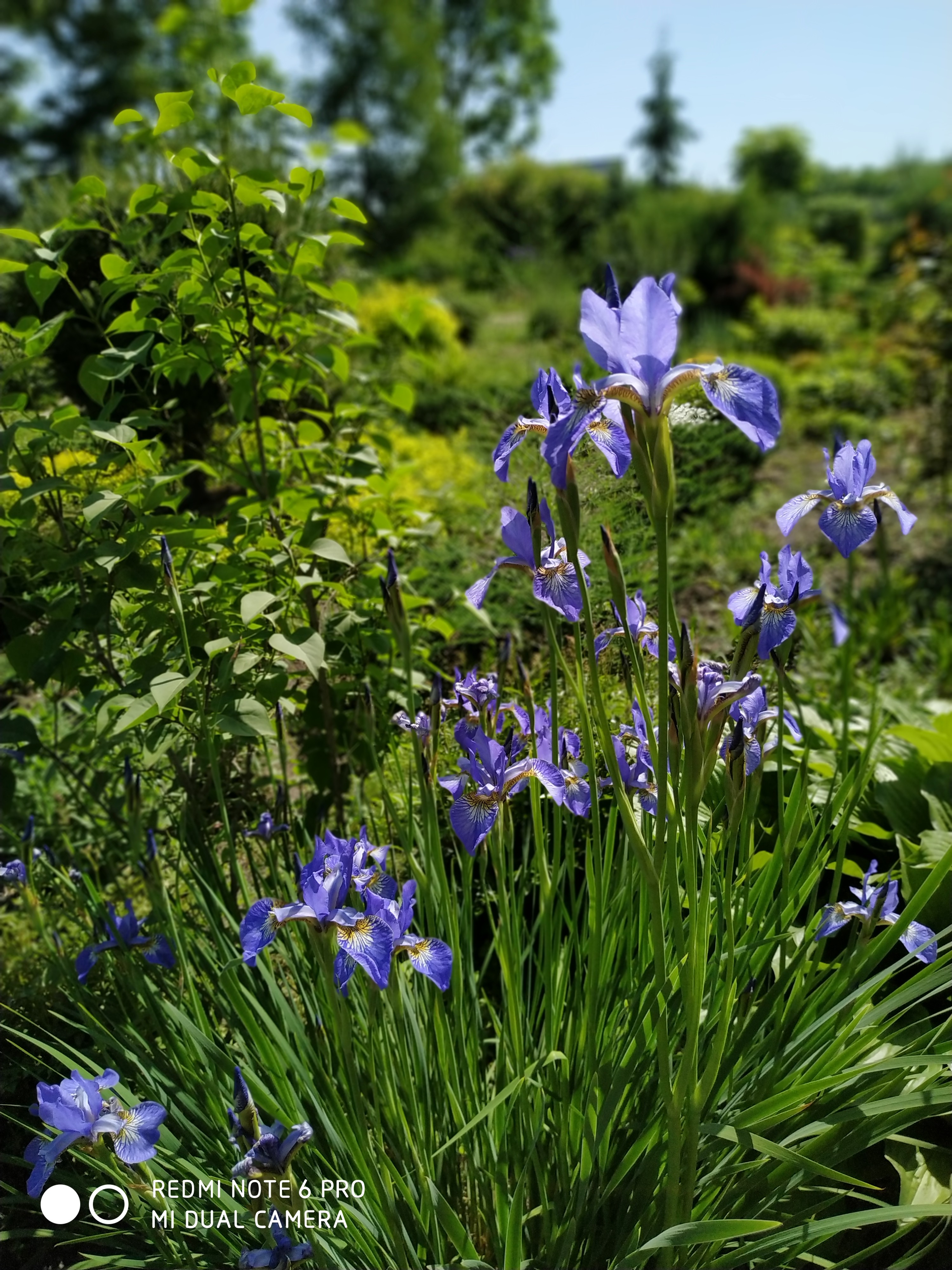 Первый слайд