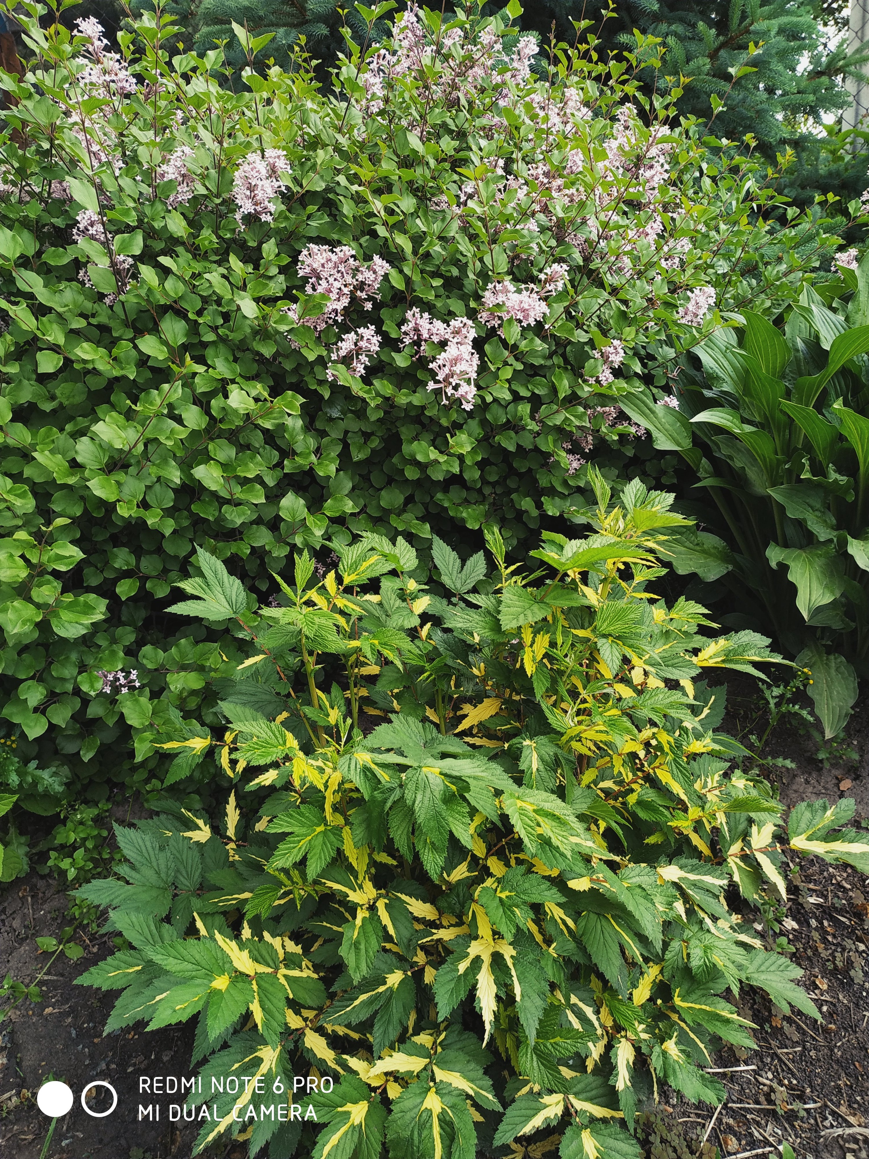 Первый слайд