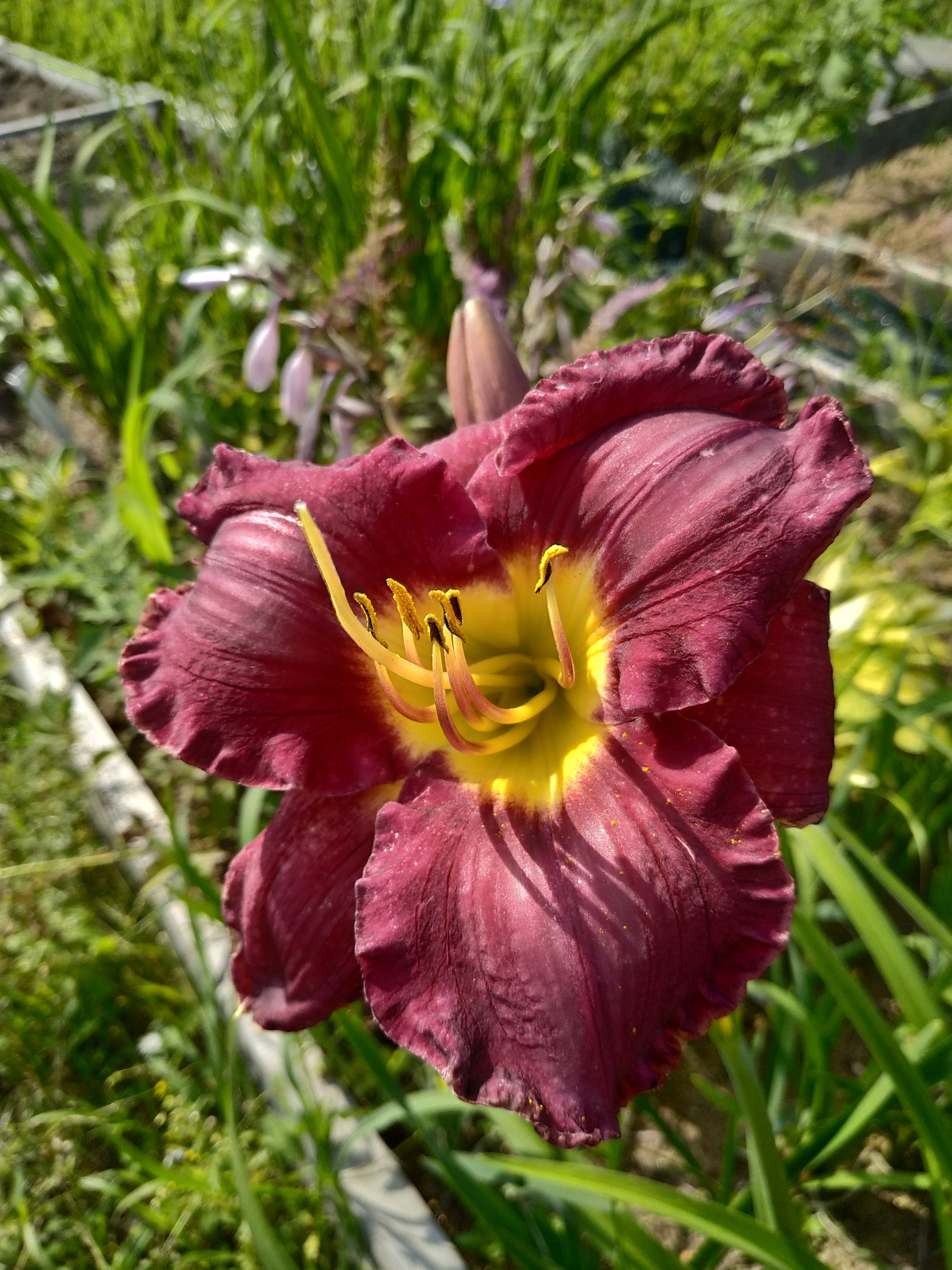 Первый слайд