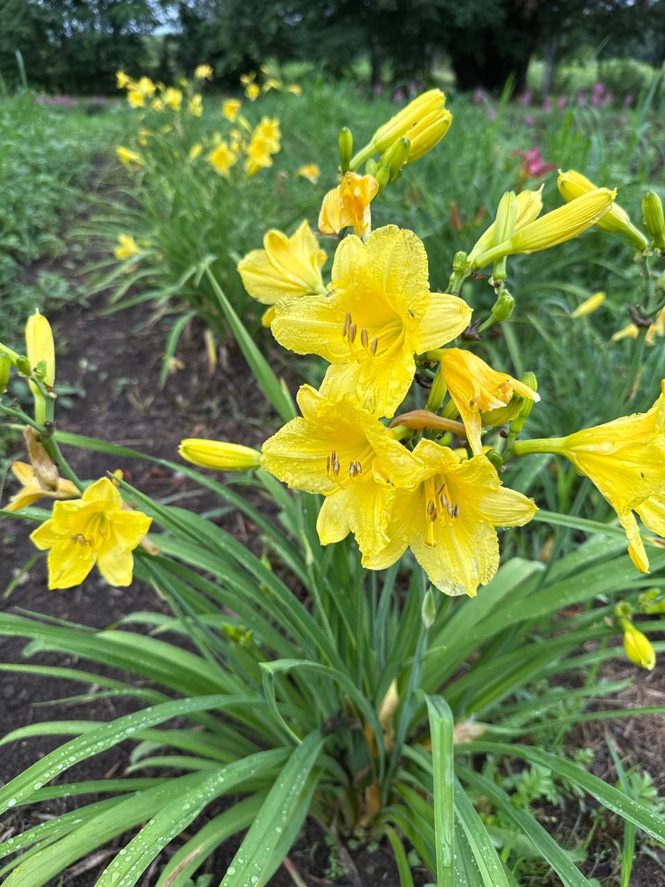 Первый слайд