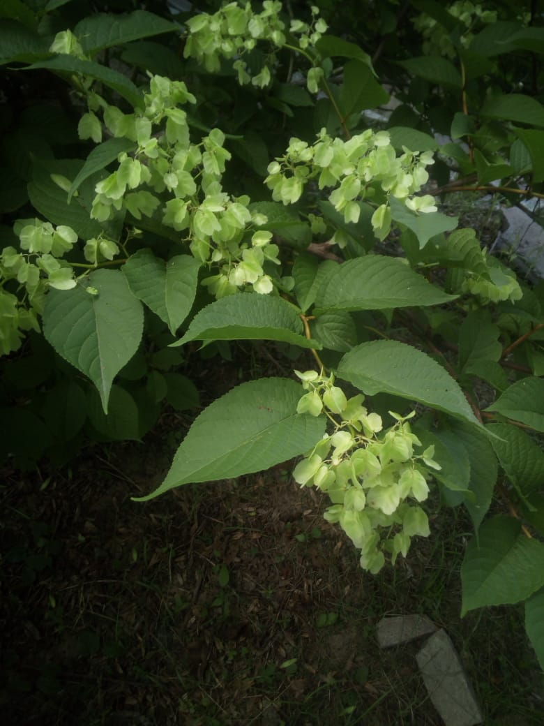 Первый слайд