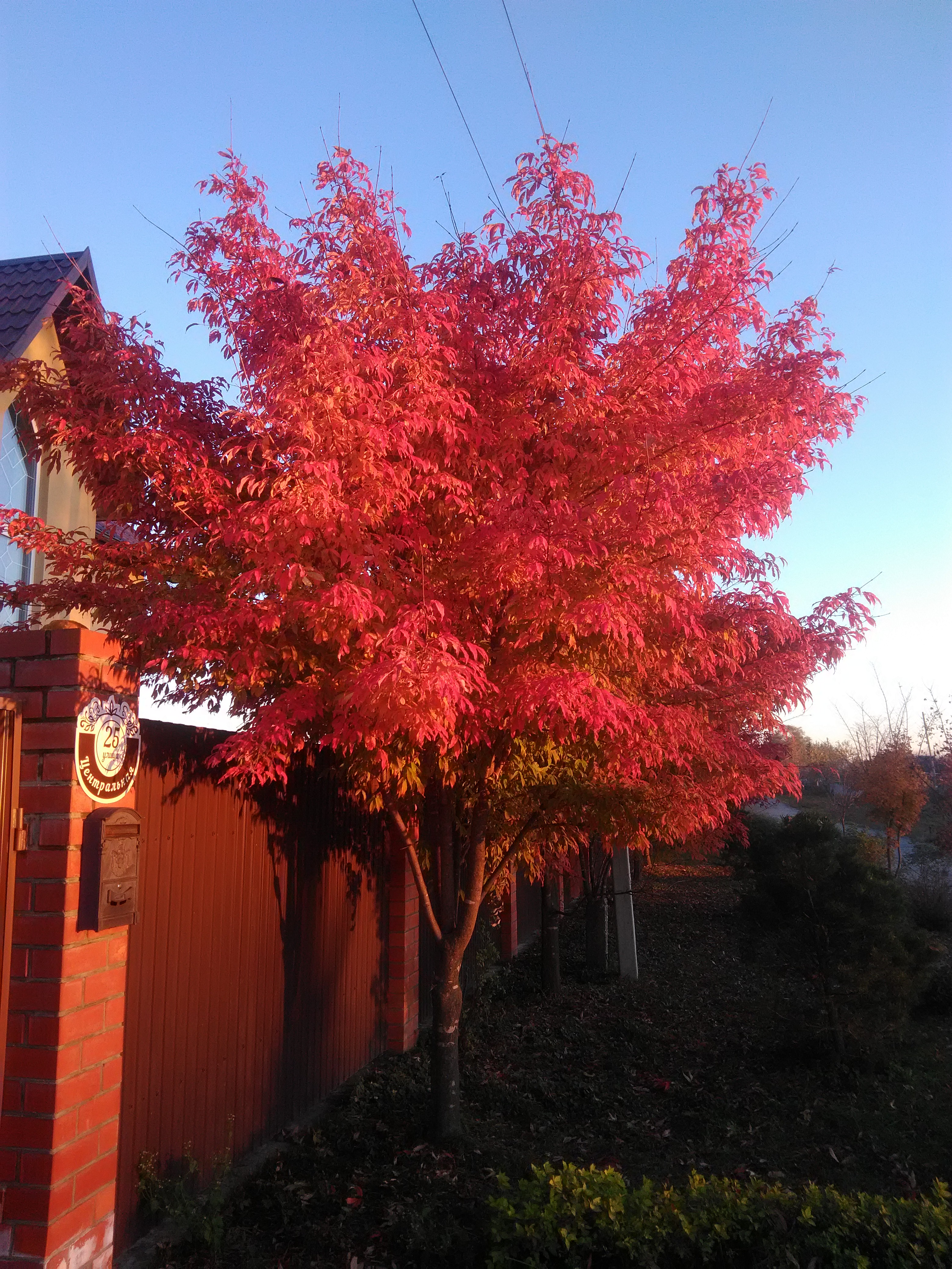 Первый слайд