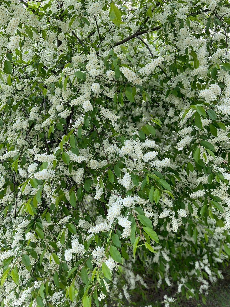 Первый слайд