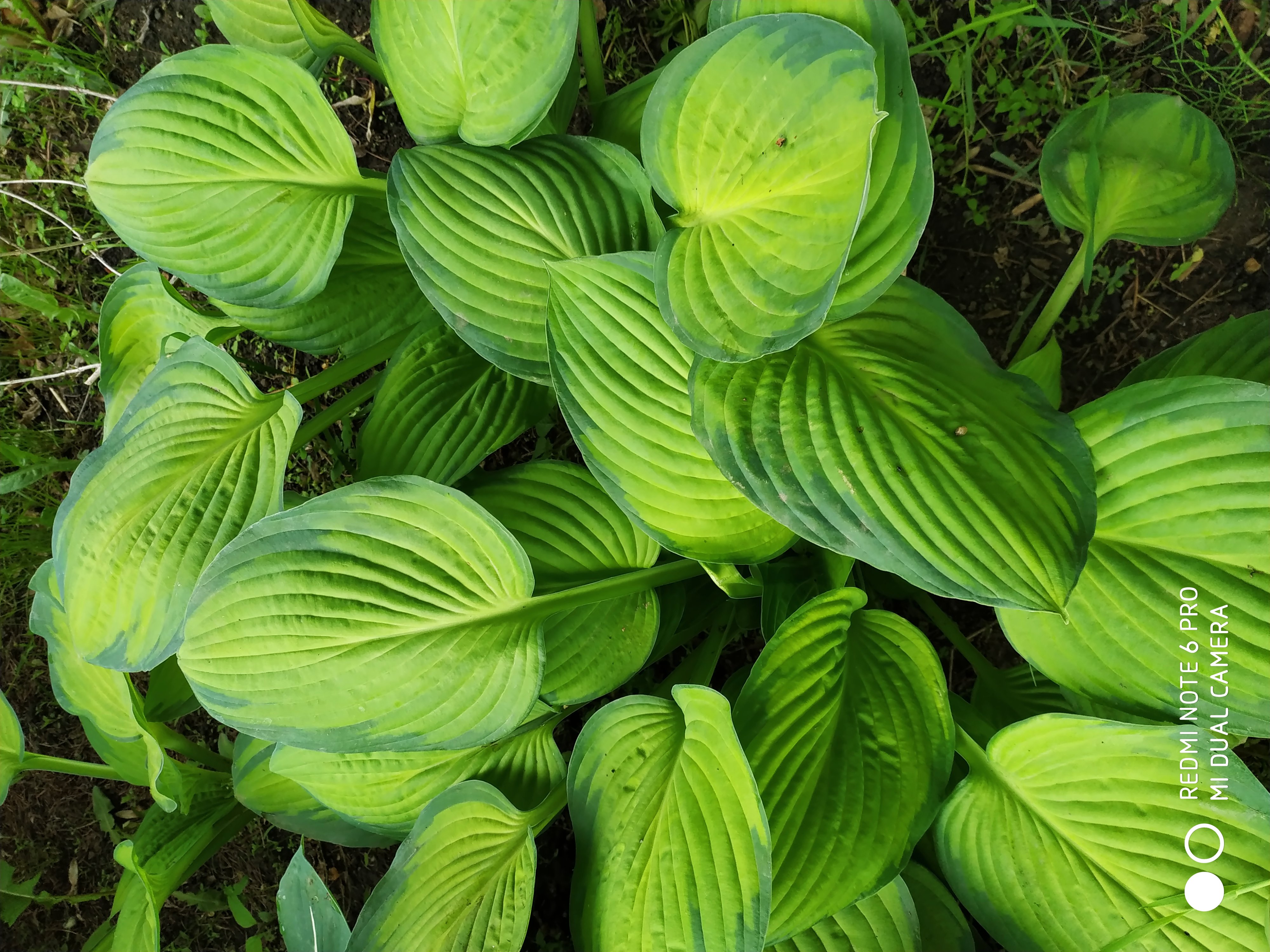 Первый слайд