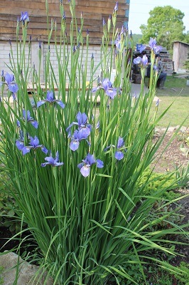 Первый слайд