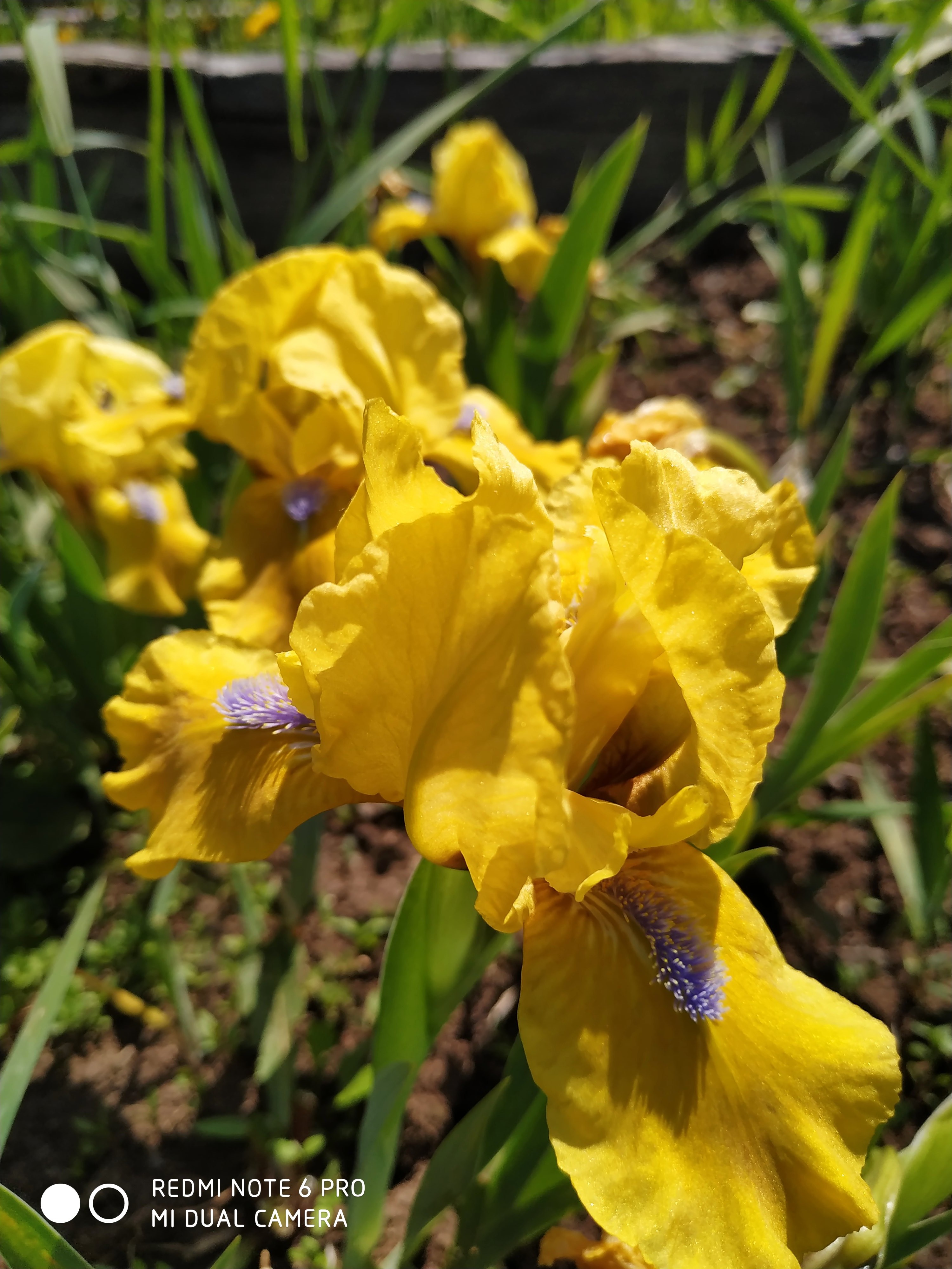 Первый слайд