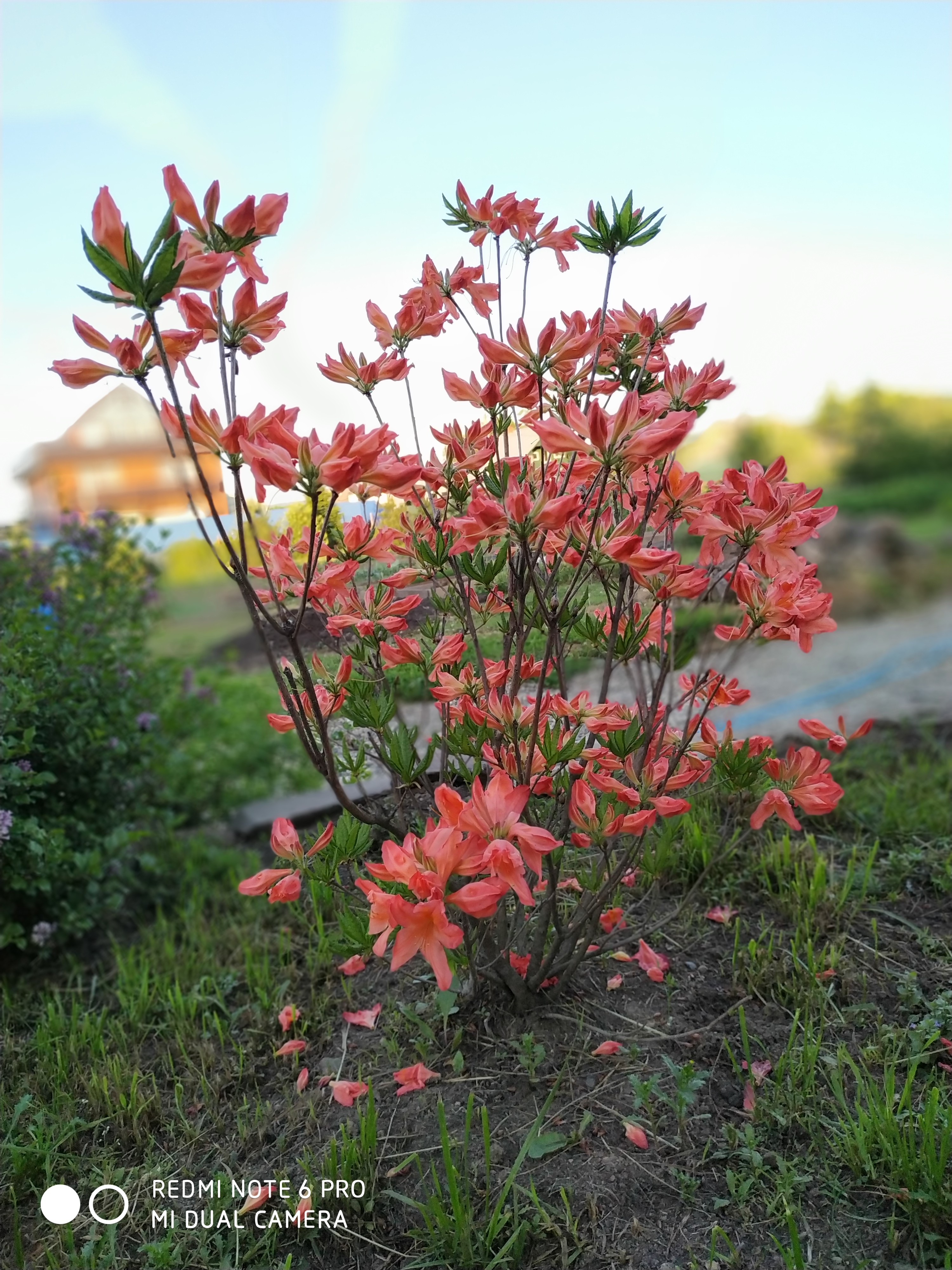 Первый слайд
