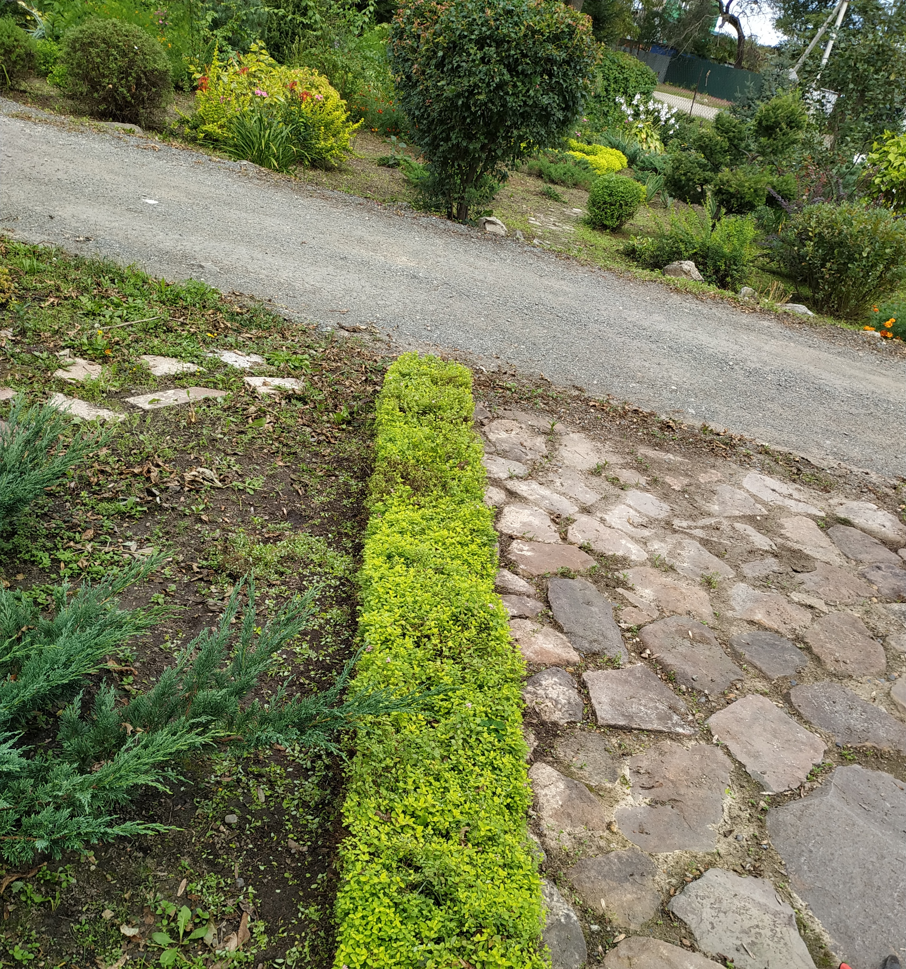 Первый слайд