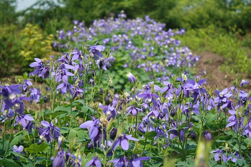 Первый слайд