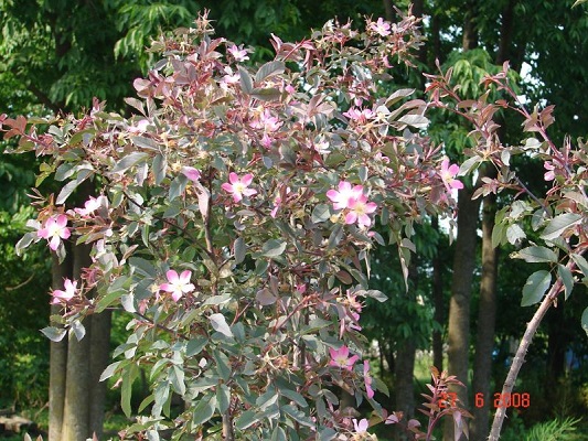 Первый слайд