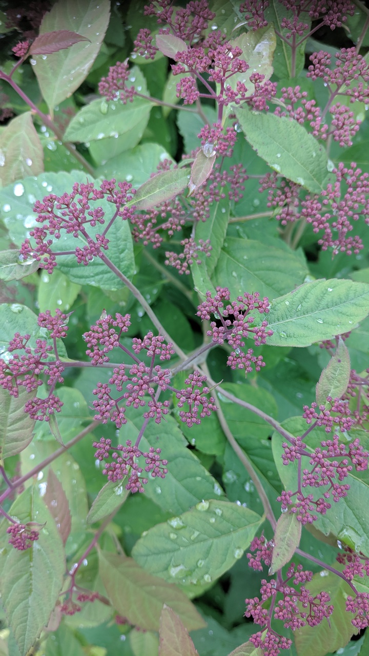 Первый слайд