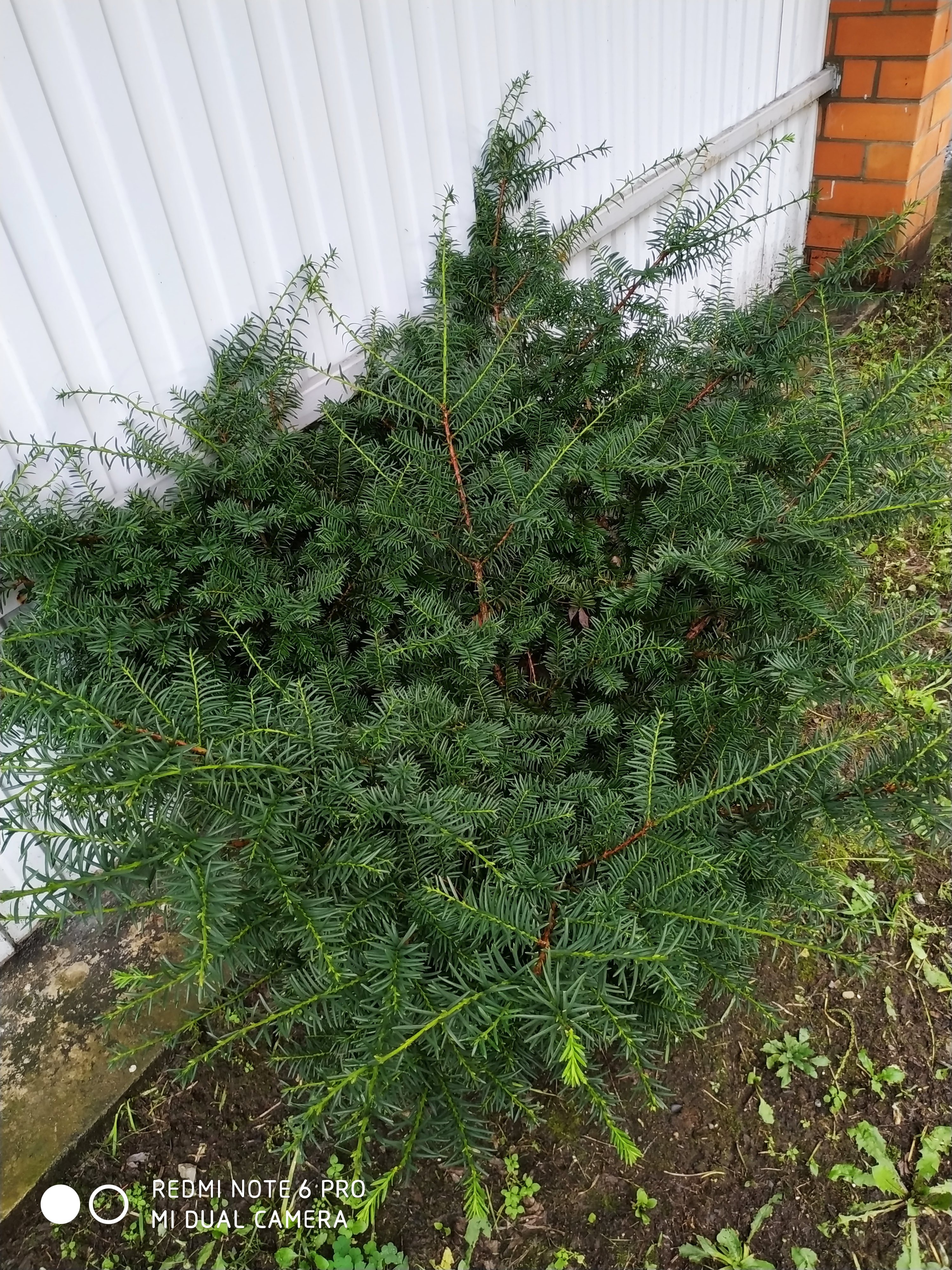 Первый слайд