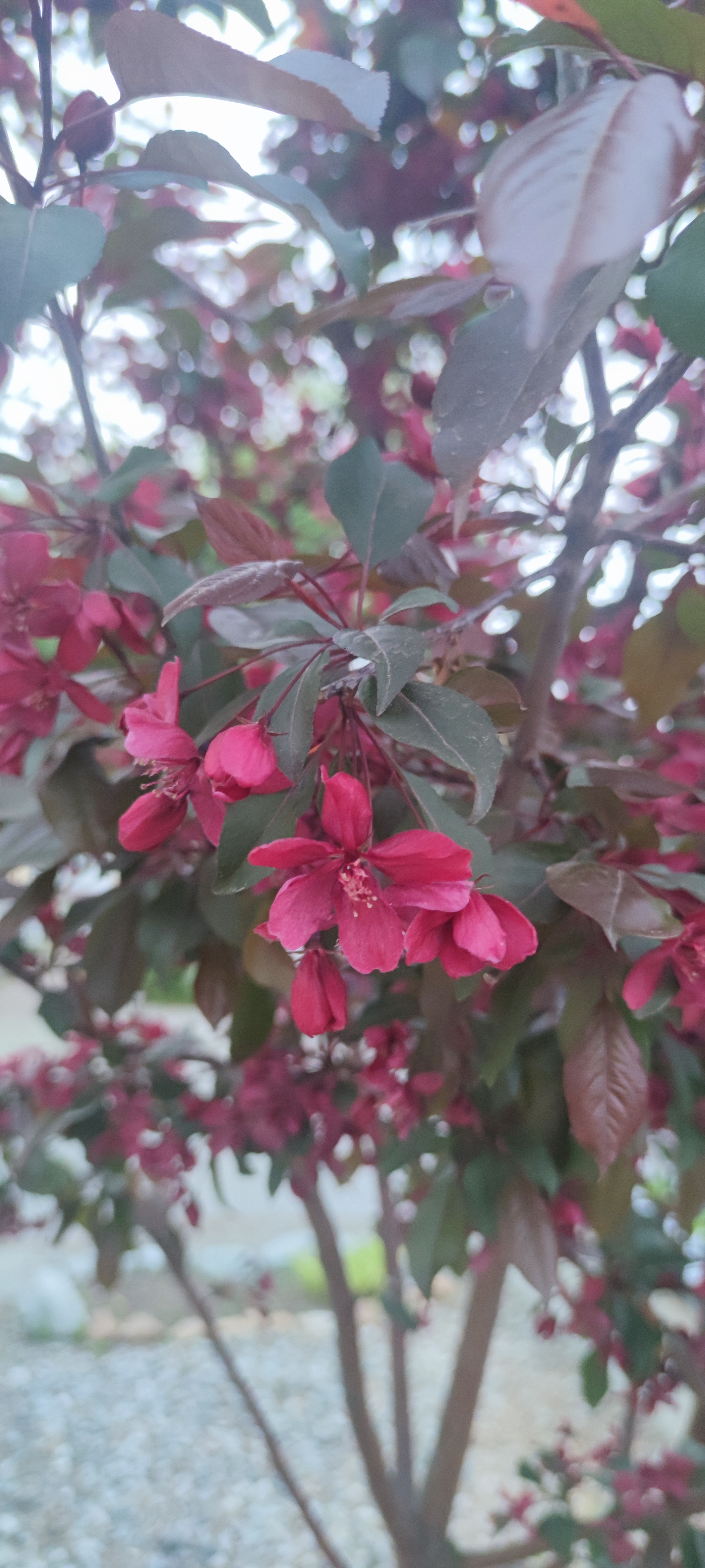 Первый слайд