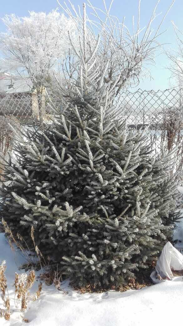 Первый слайд