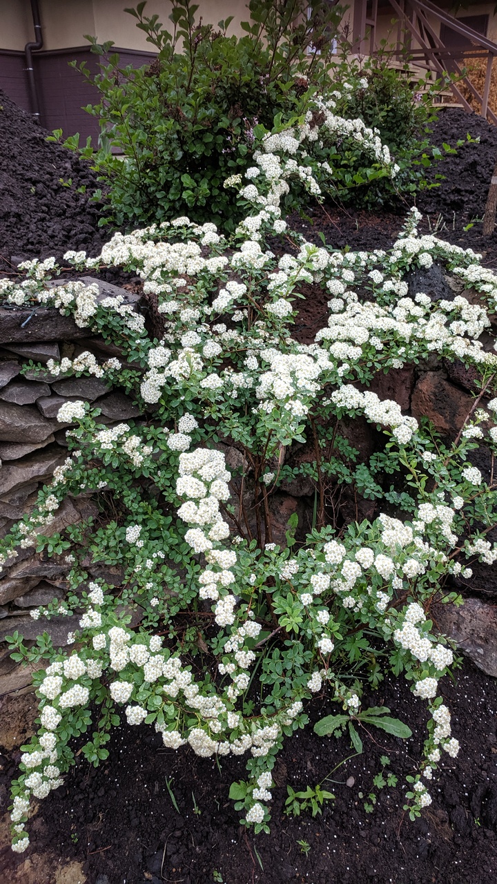 Первый слайд