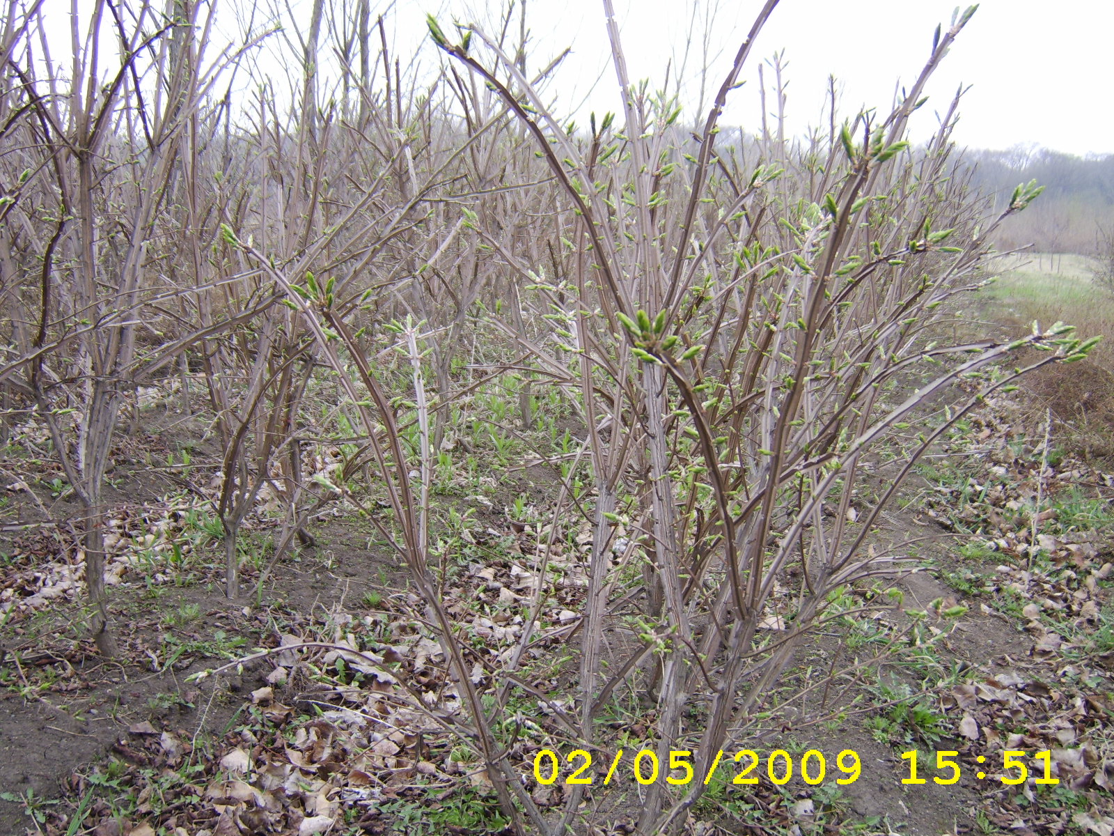 Первый слайд