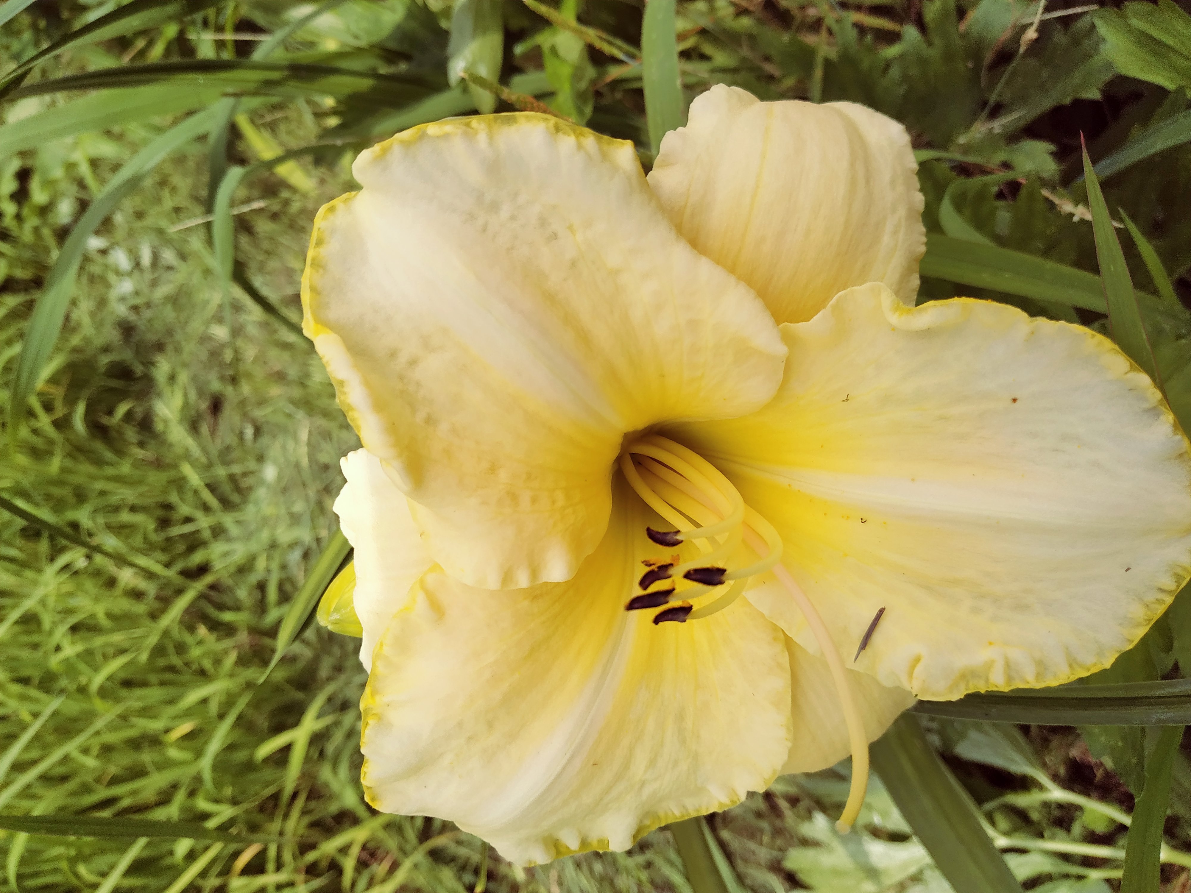 Первый слайд