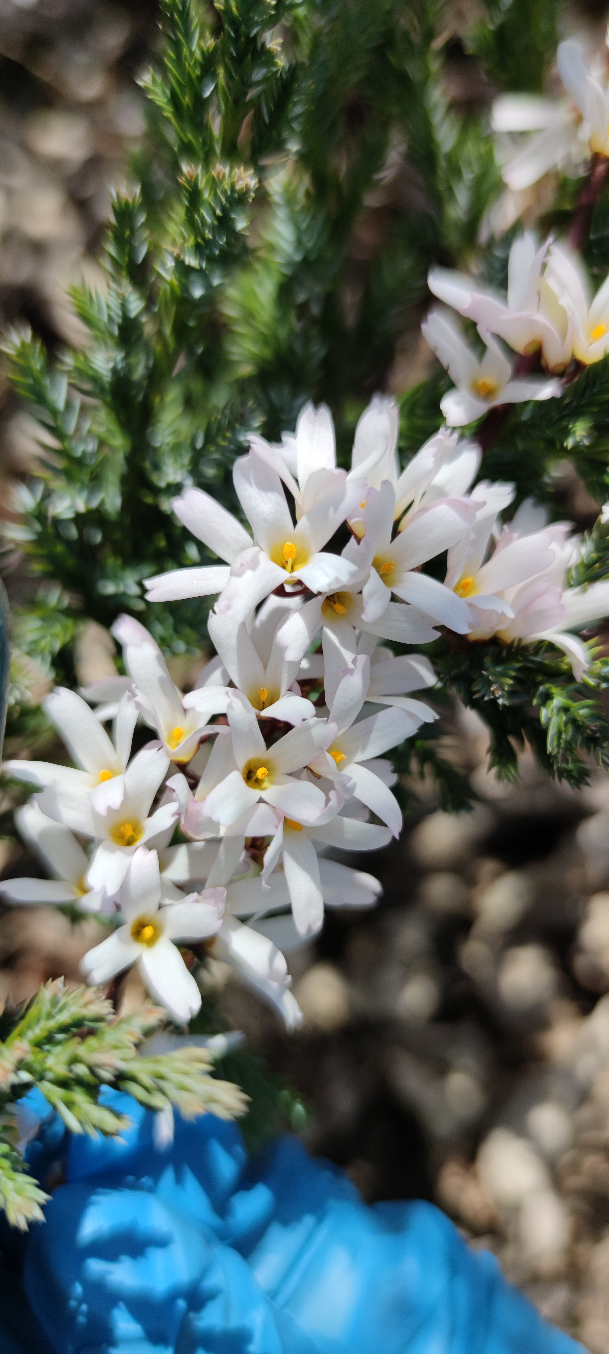 Первый слайд