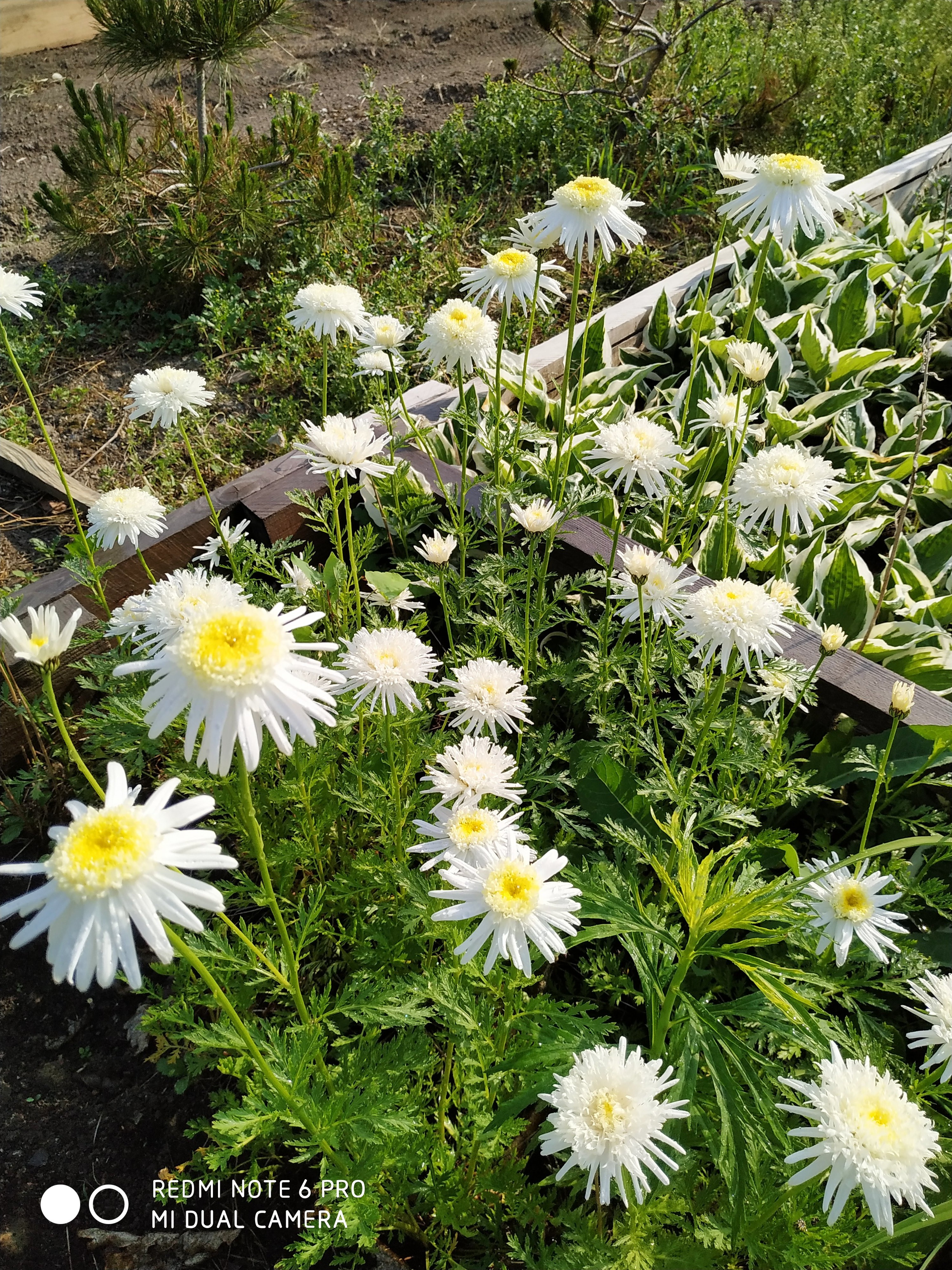 Первый слайд