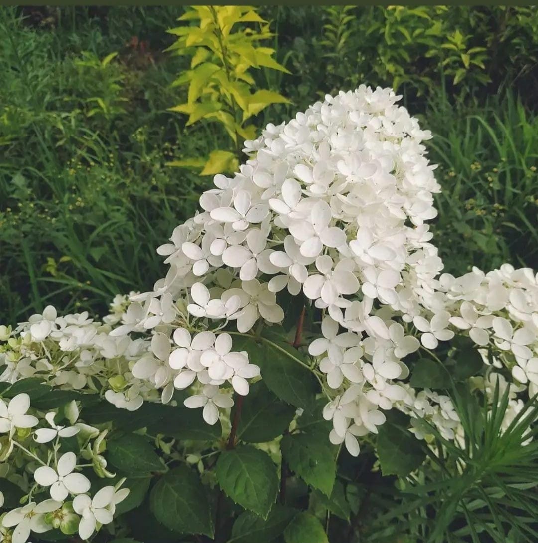 Первый слайд