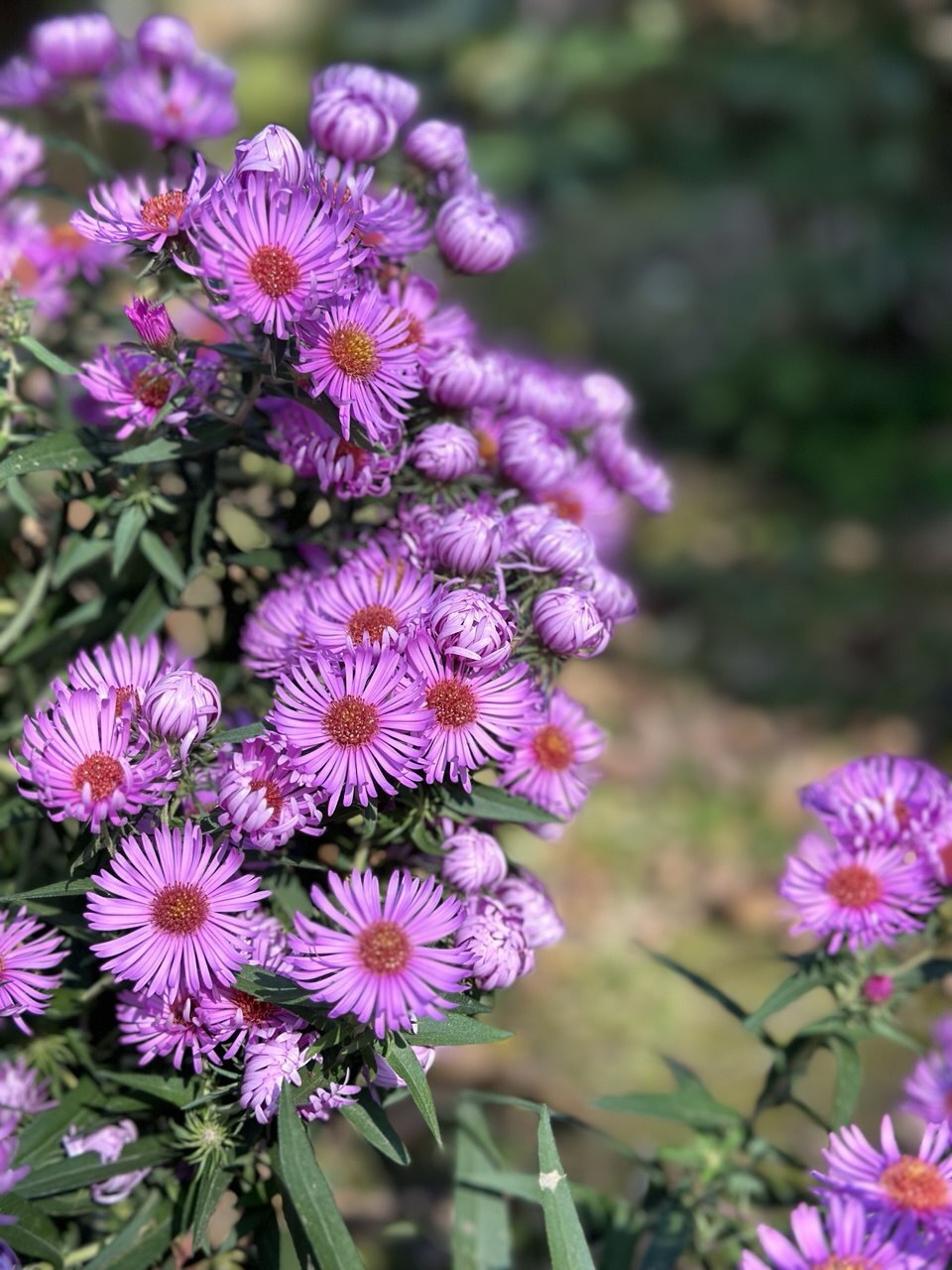 Первый слайд