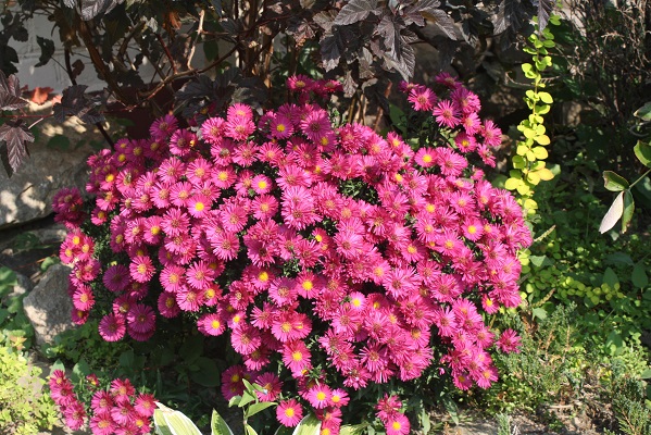 Первый слайд