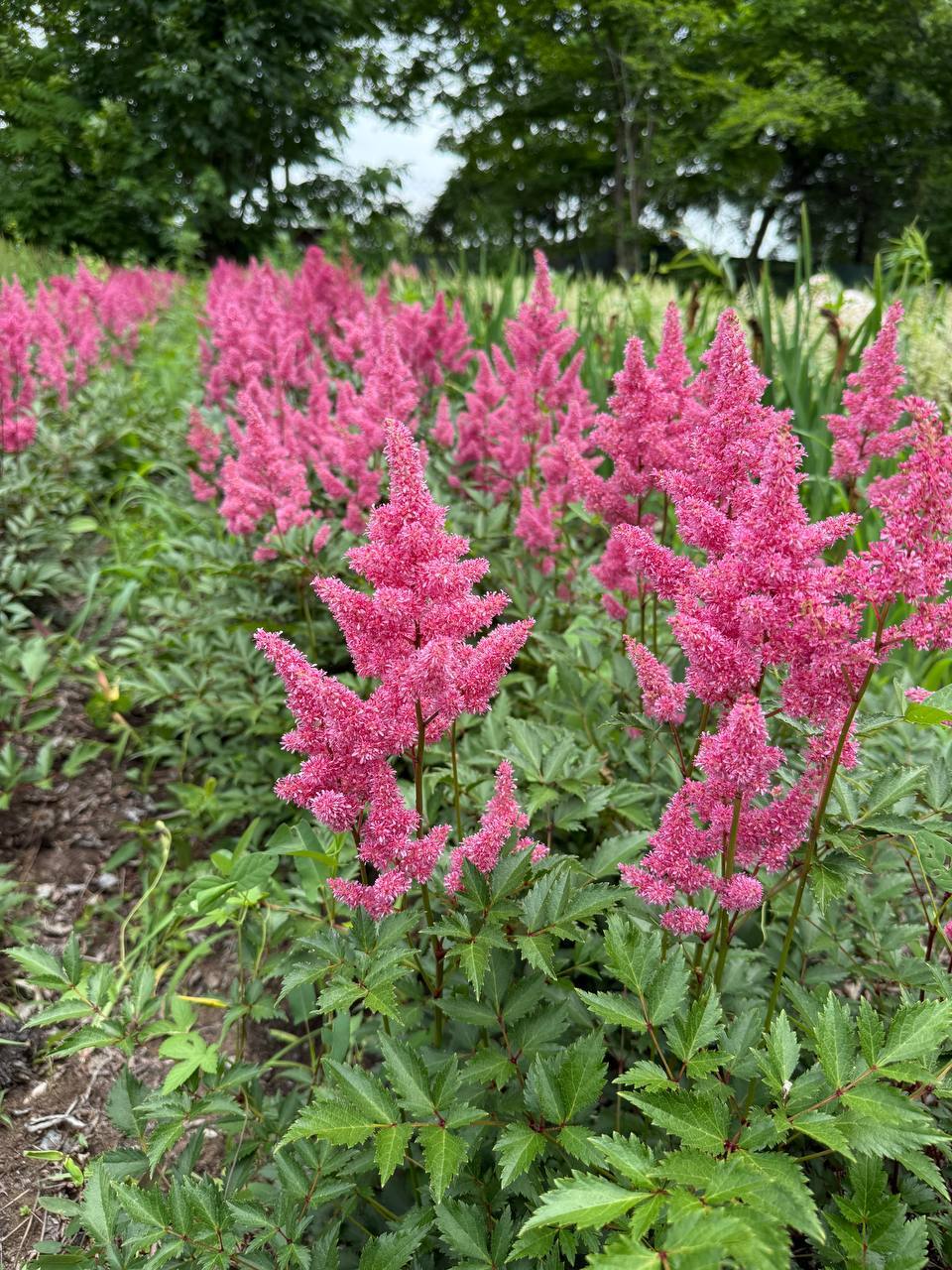 Первый слайд
