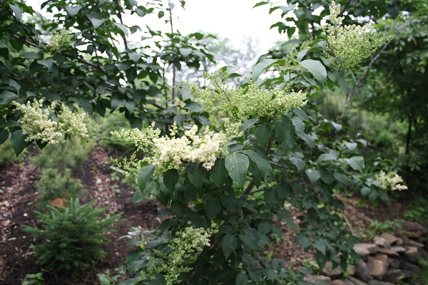 Первый слайд