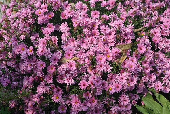 Первый слайд