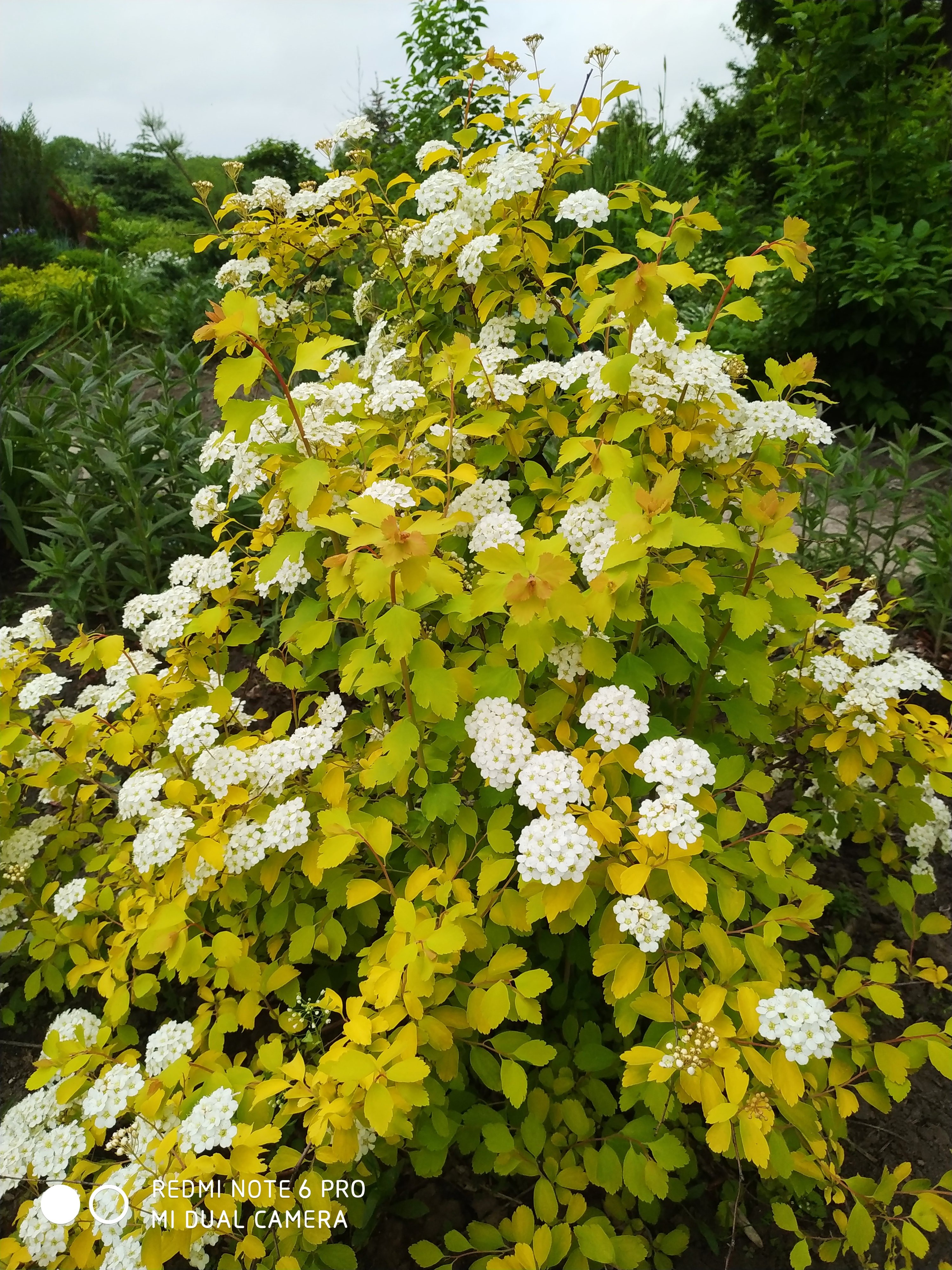 Первый слайд